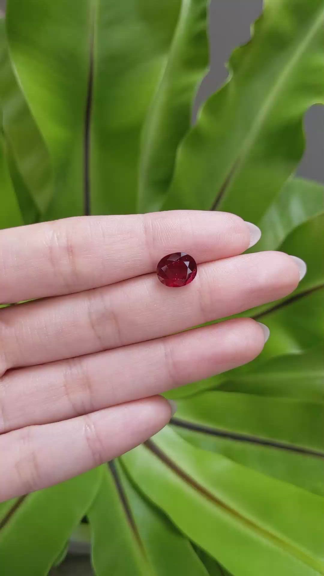 3.15 Ct. Ruby from Mozambique Size Video