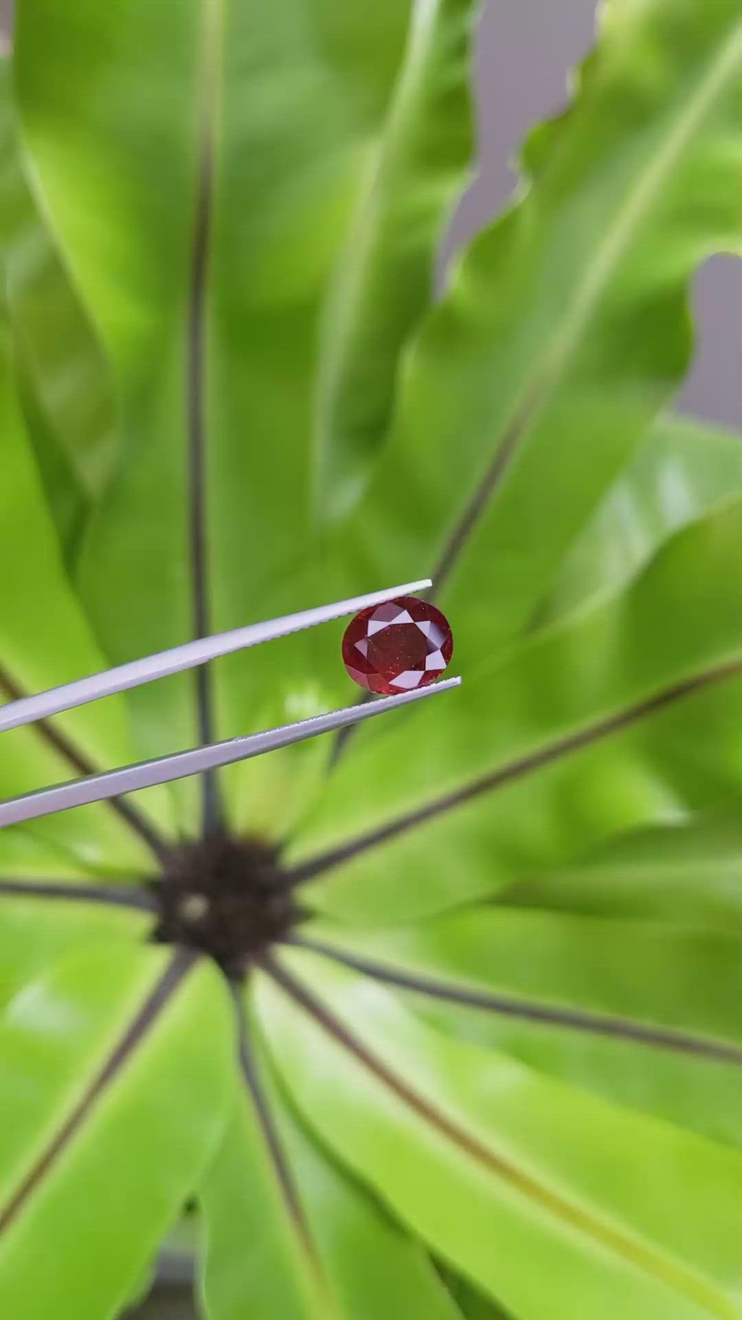 3.15 Ct. Ruby from Mozambique Size Video