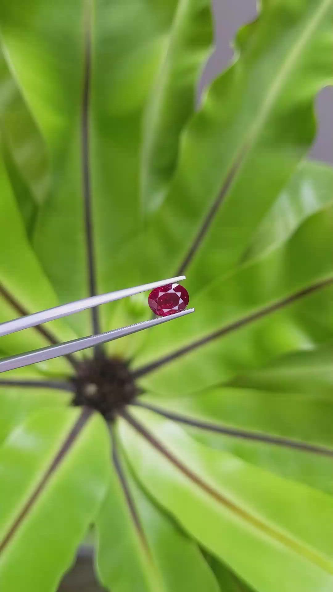 1.94 Ct. Ruby from Mozambique Size Video