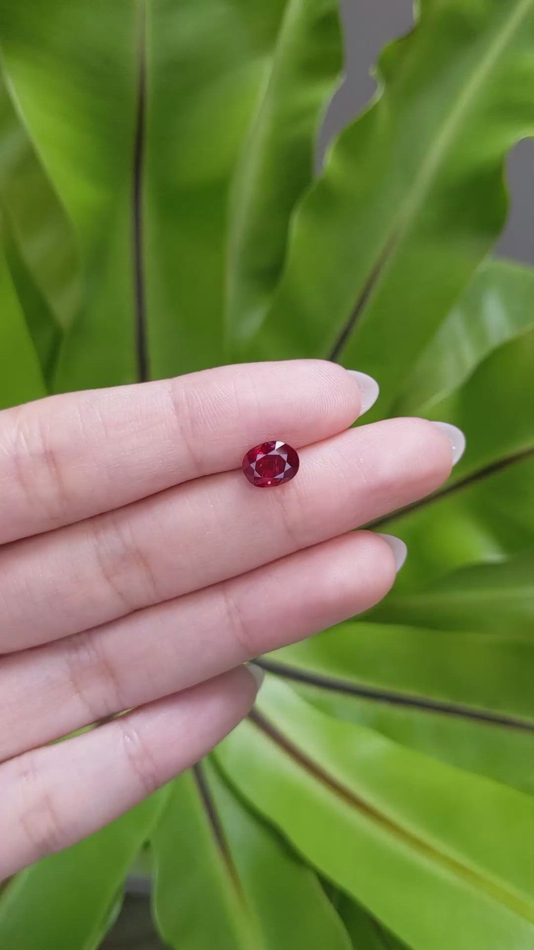 1.94 Ct. Ruby from Mozambique Size Video