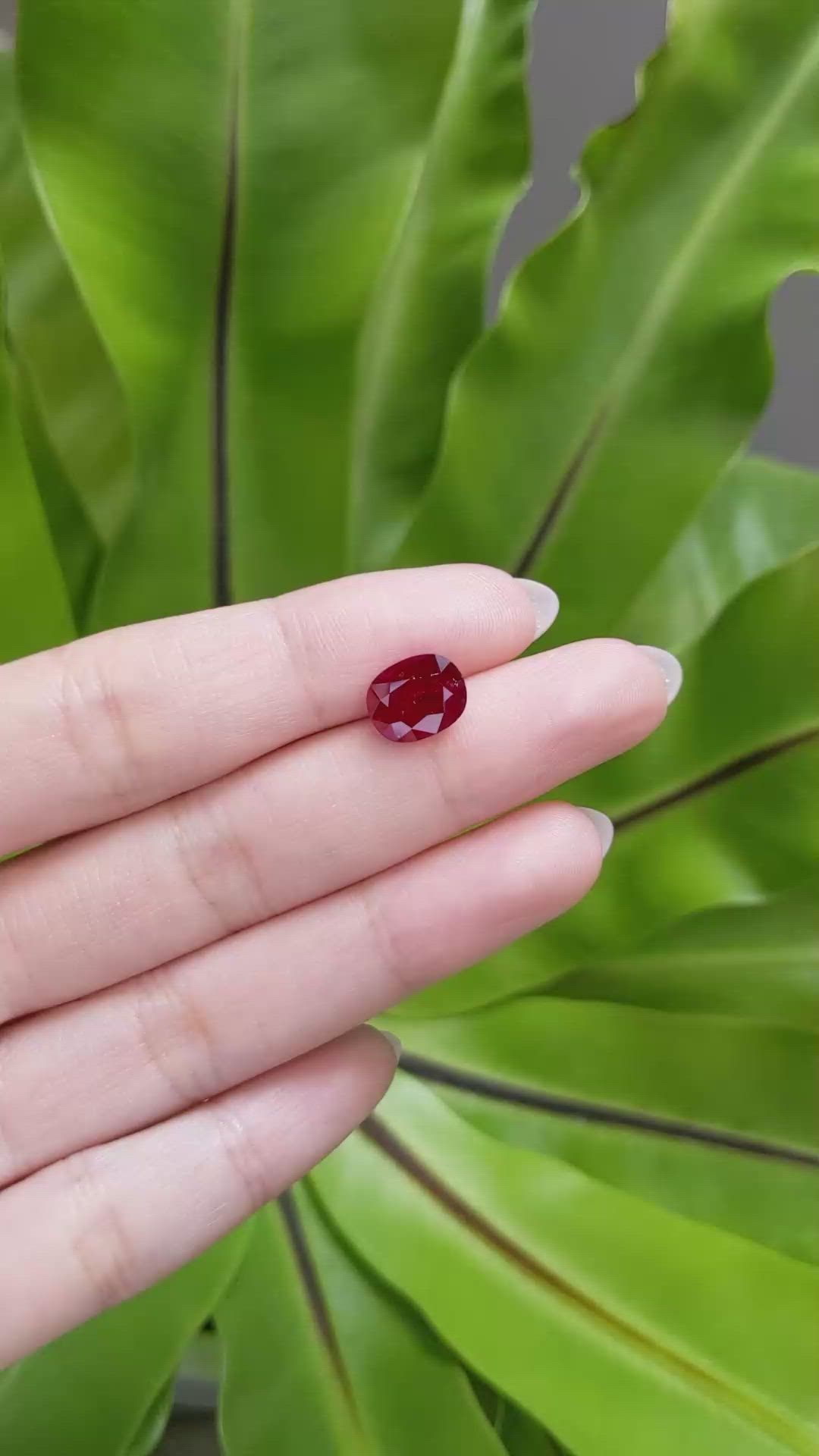 3.46 Ct. Ruby from Mozambique Size Video