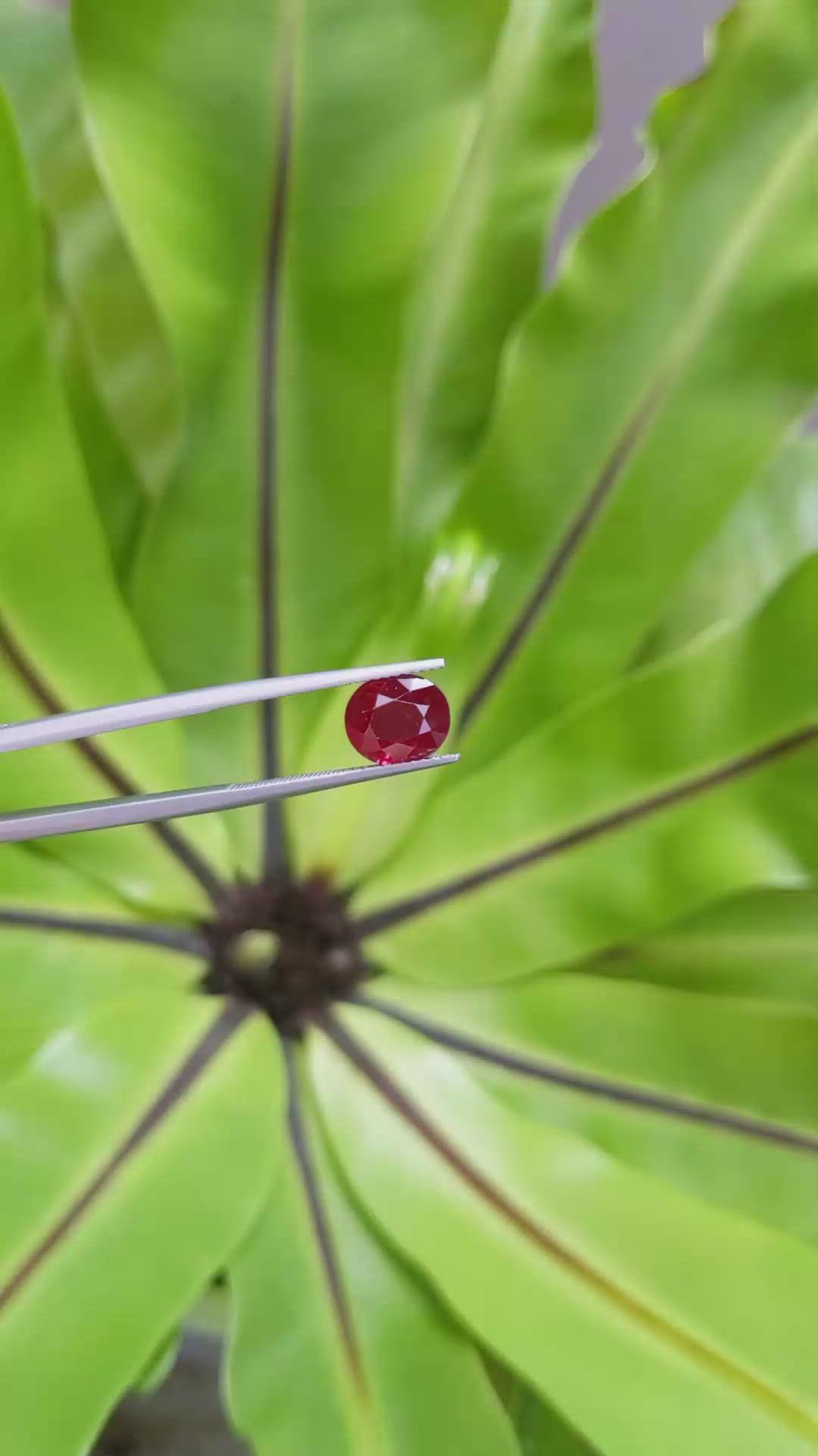 3.03 Ct. Ruby from Mozambique Size Video