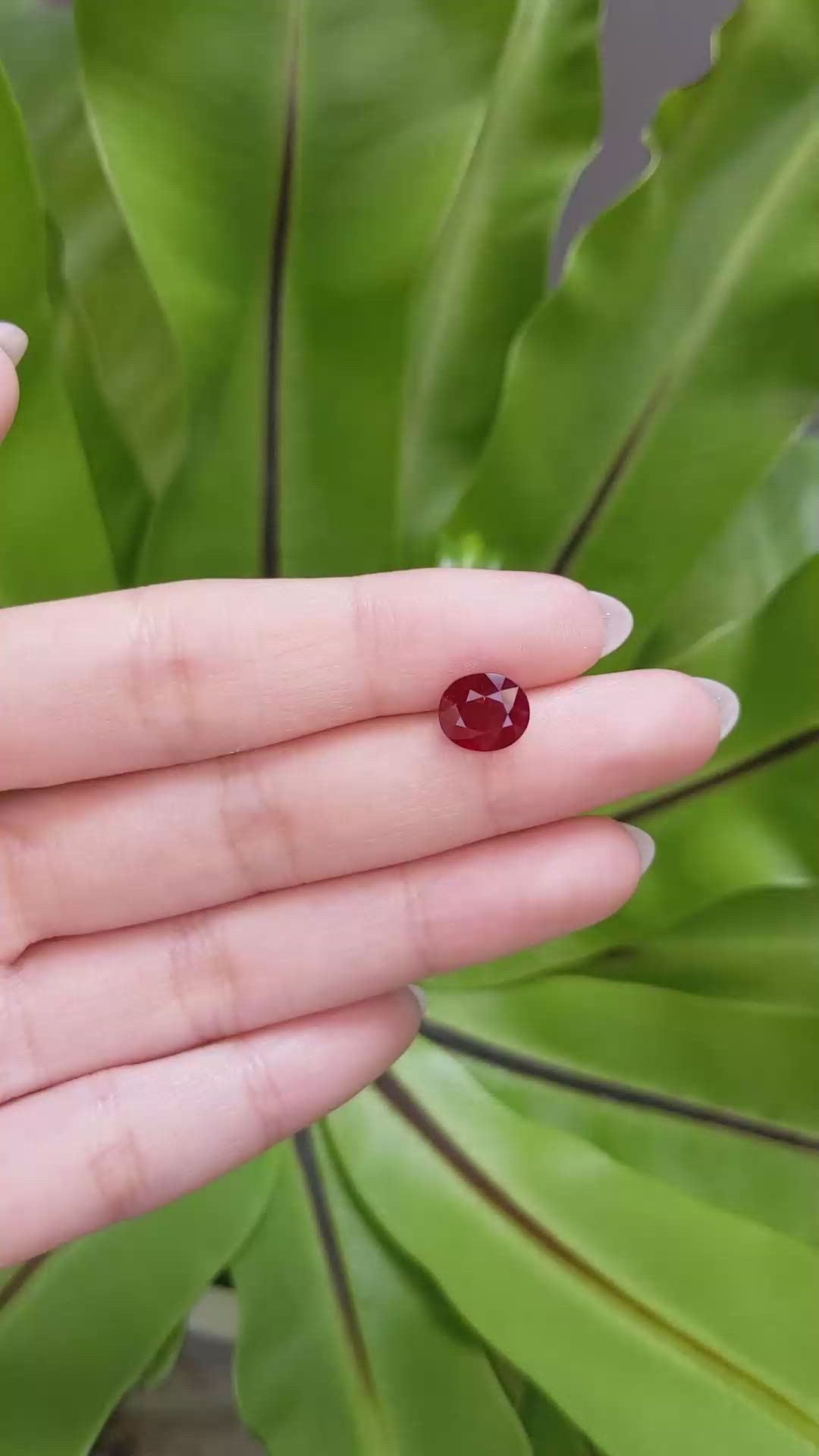 3.03 Ct. Ruby from Mozambique Size Video