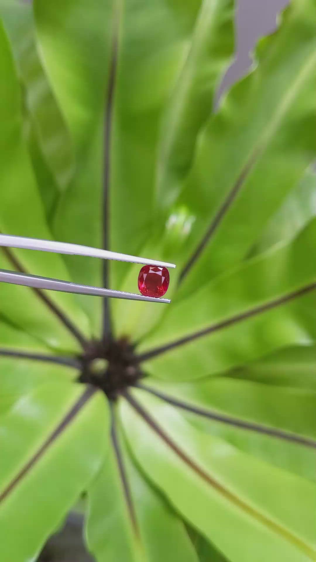 1.60 Ct. Ruby from Mozambique Size Video