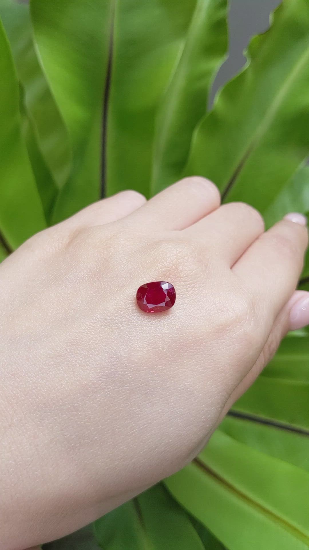 3.56 Ct. Ruby from Mozambique Size Video