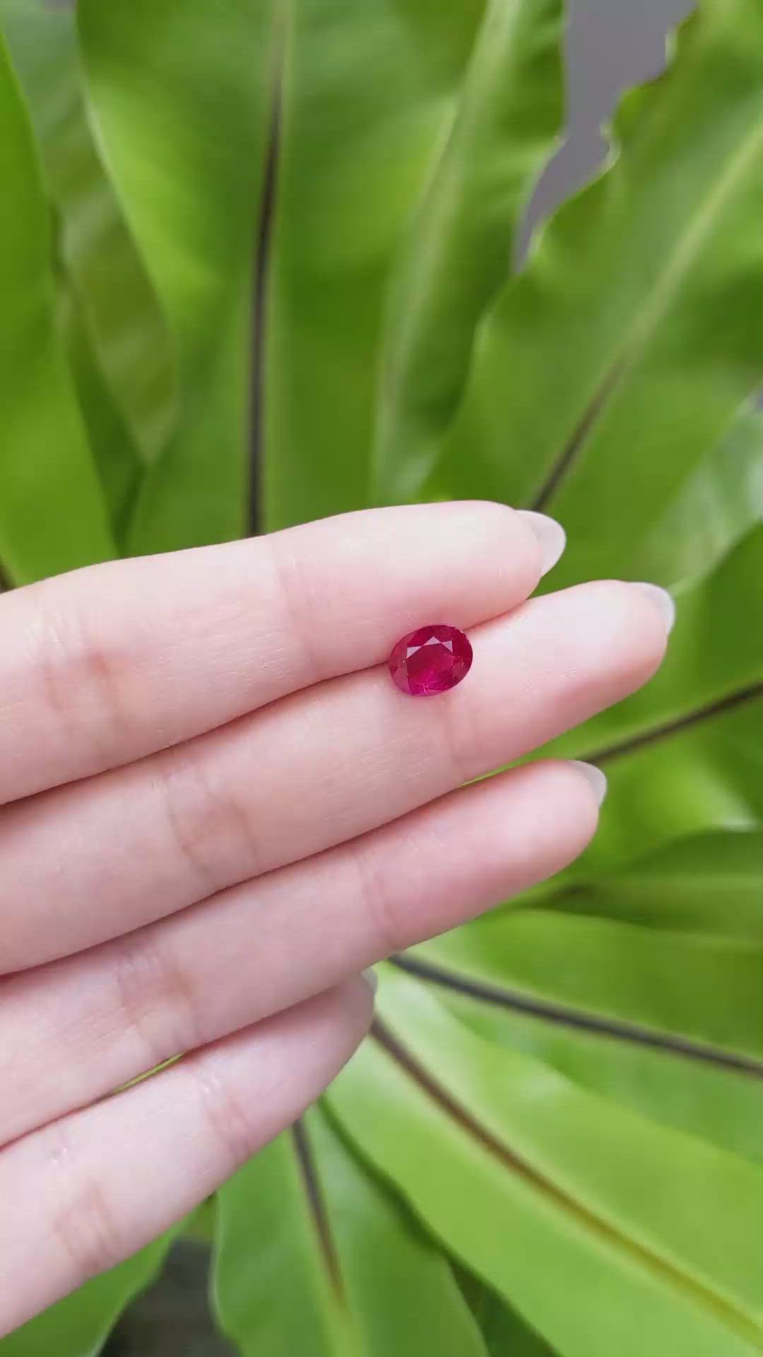 2.07 Ct. Ruby from Mozambique Size Video