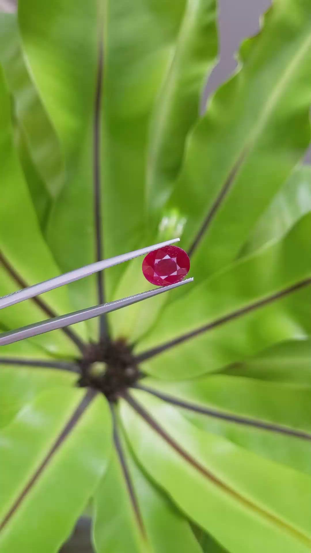 4.12 Ct. Ruby from Mozambique Size Video