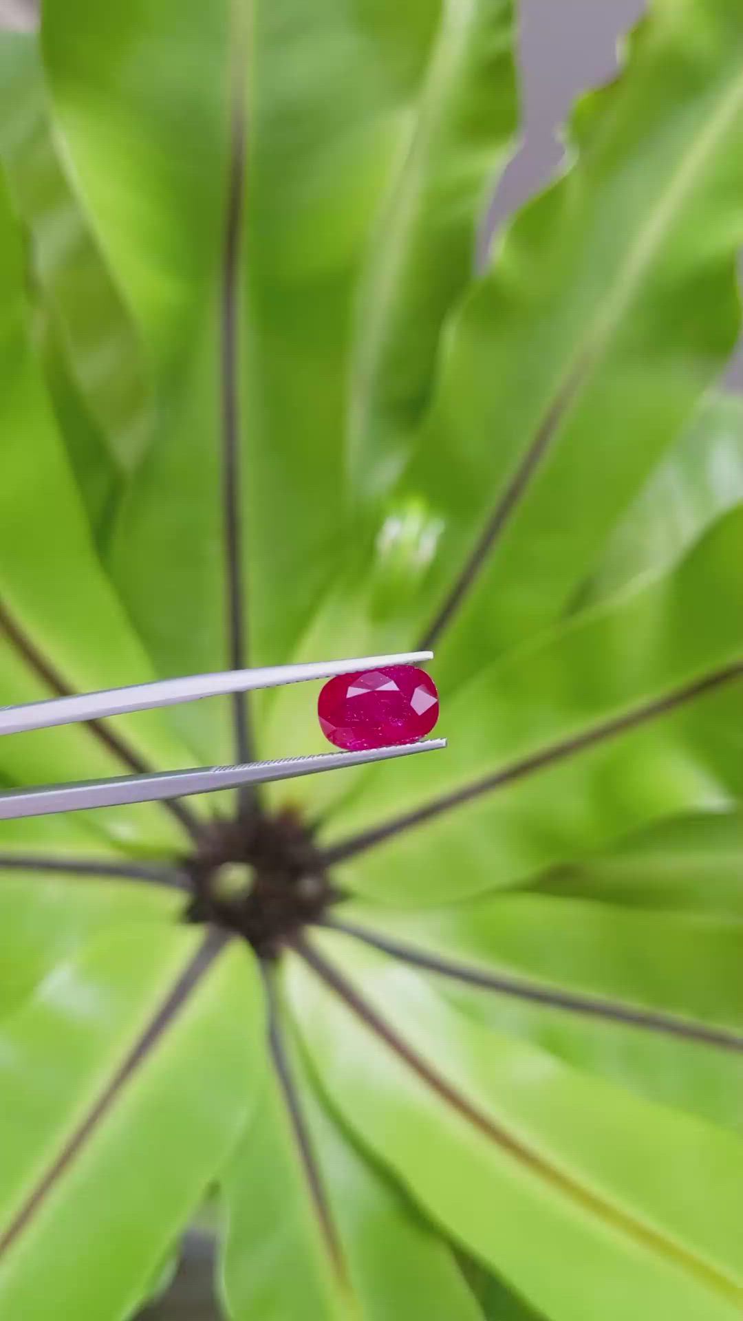 2.97 Ct. Ruby from Mozambique Size Video