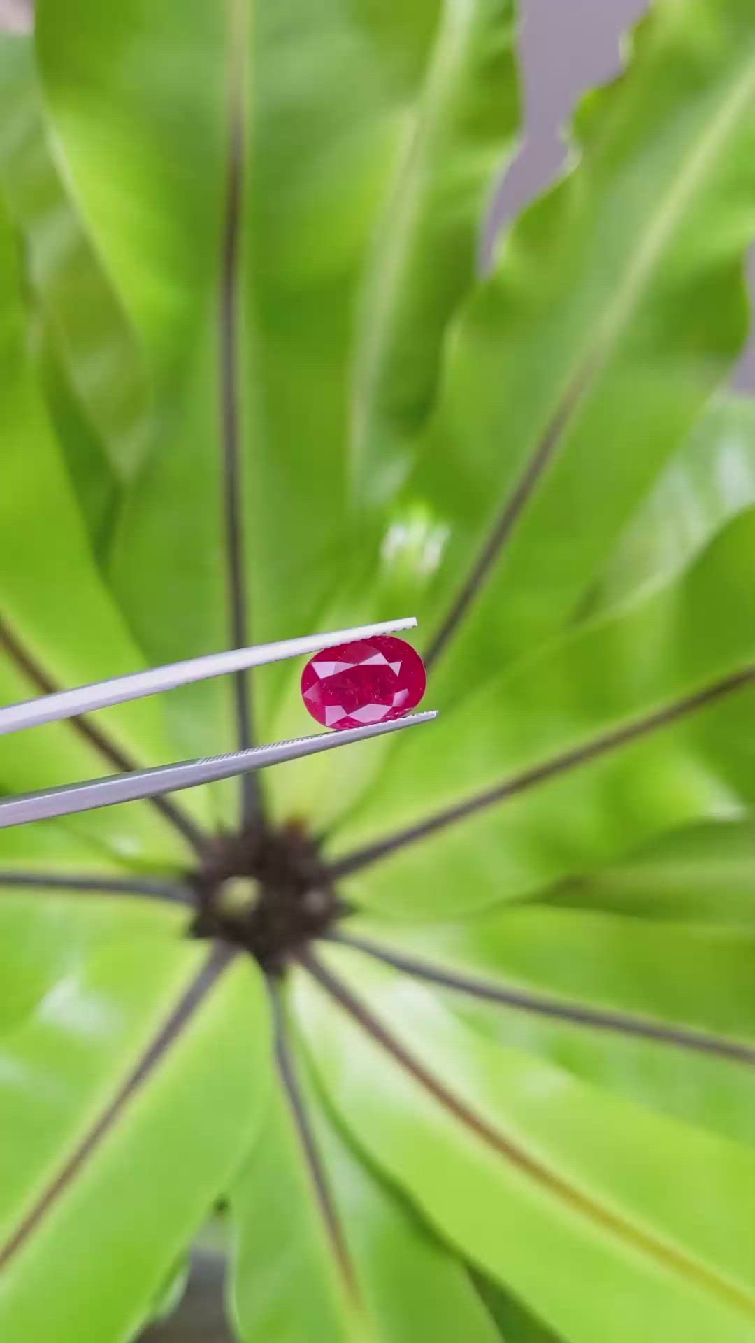 3.18 Ct. Ruby from Mozambique Size Video