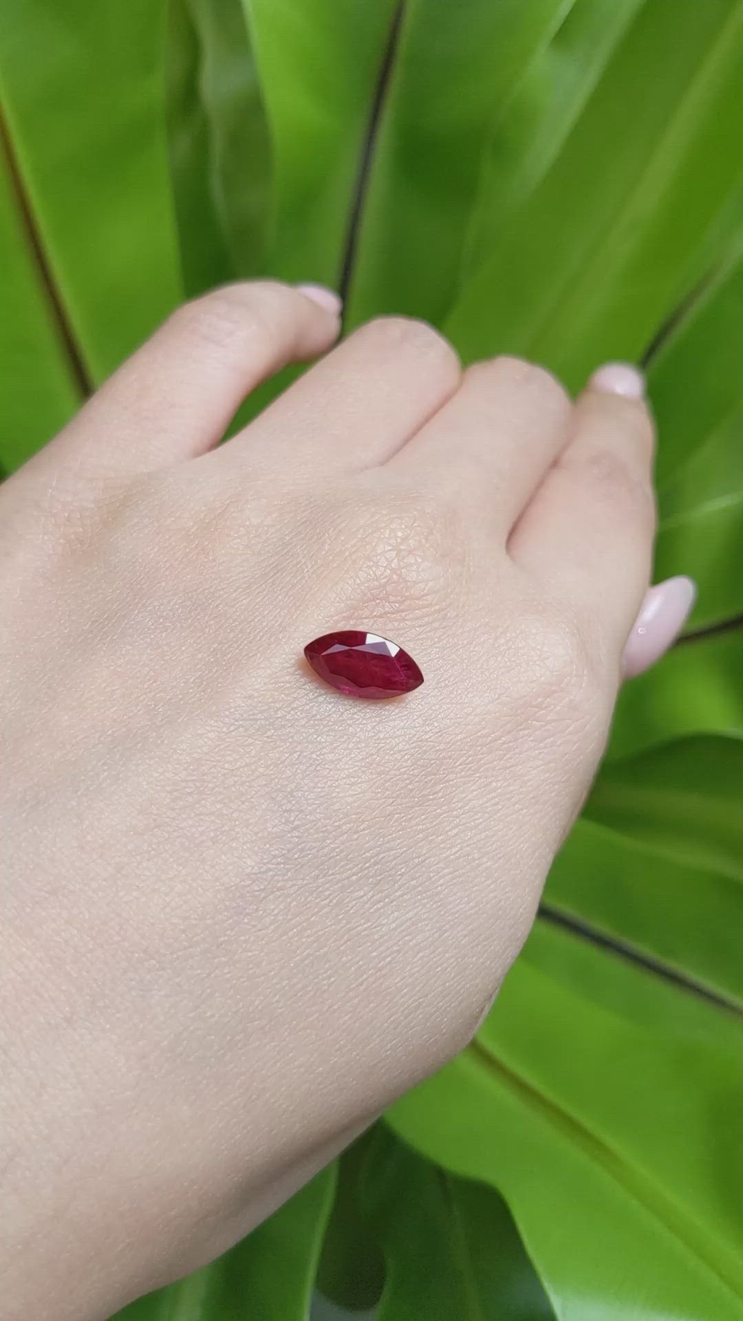 2.64 Ct. Ruby from Mozambique Size Video