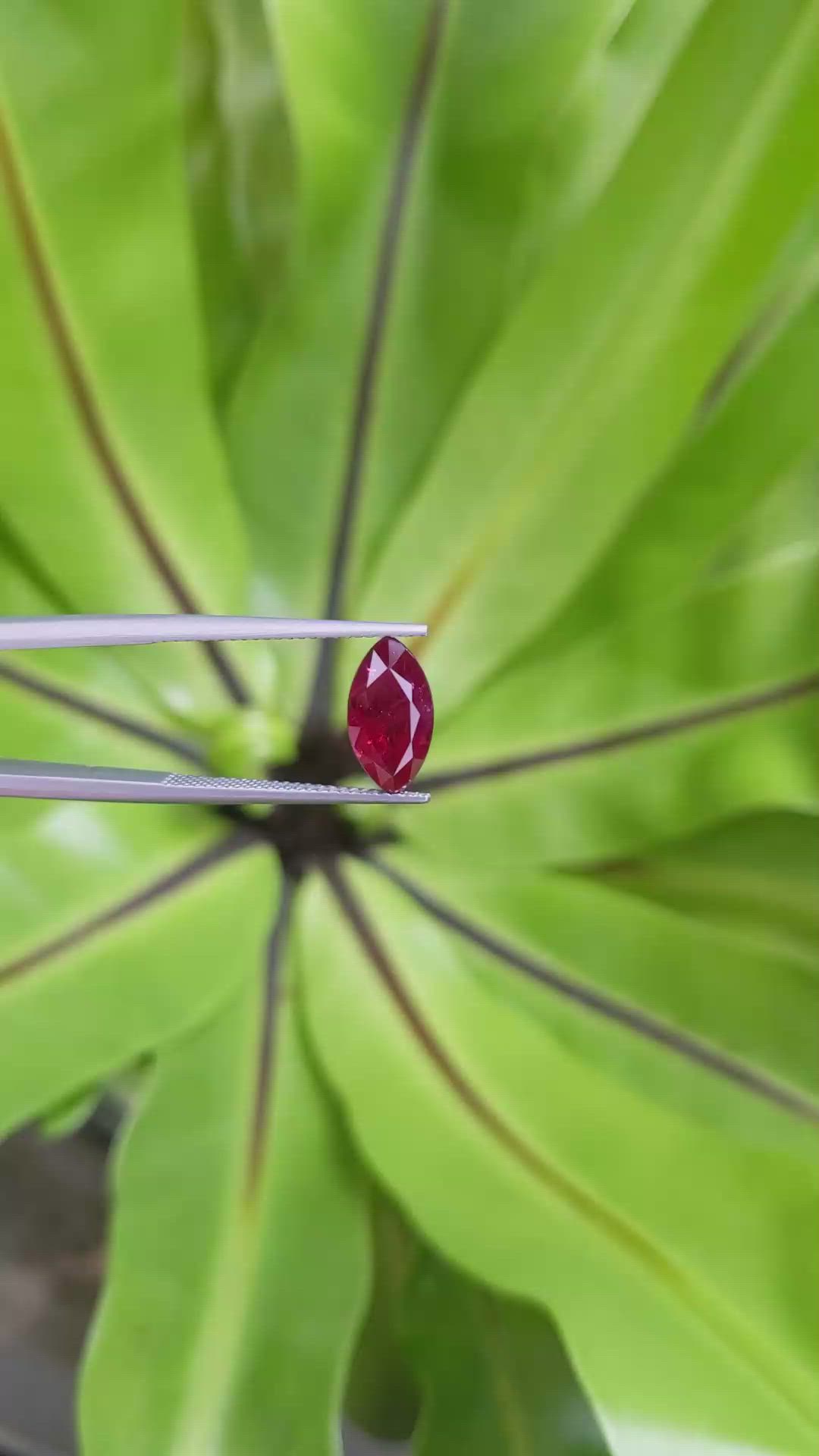 2.64 Ct. Ruby from Mozambique Size Video