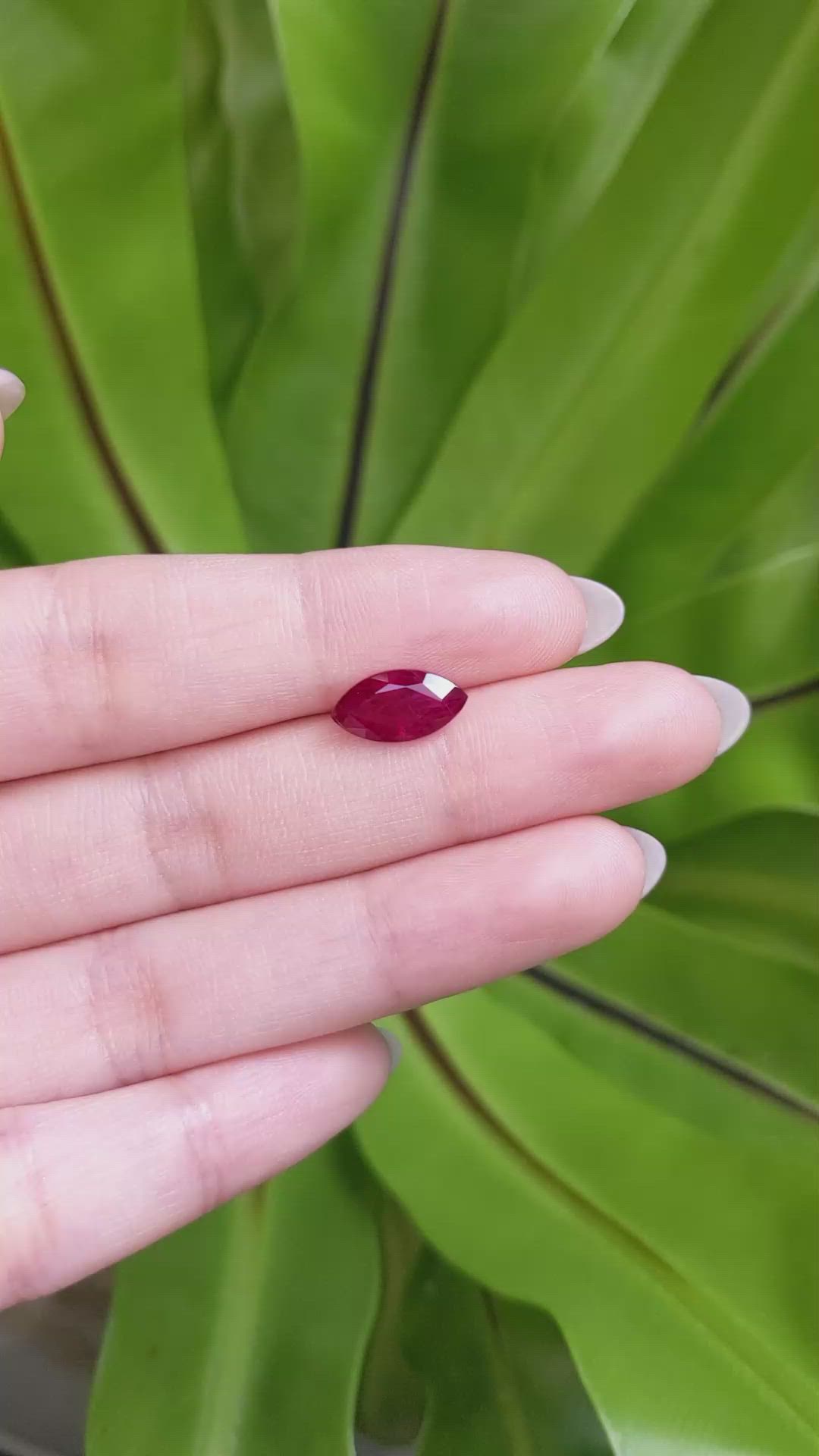2.64 Ct. Ruby from Mozambique Size Video