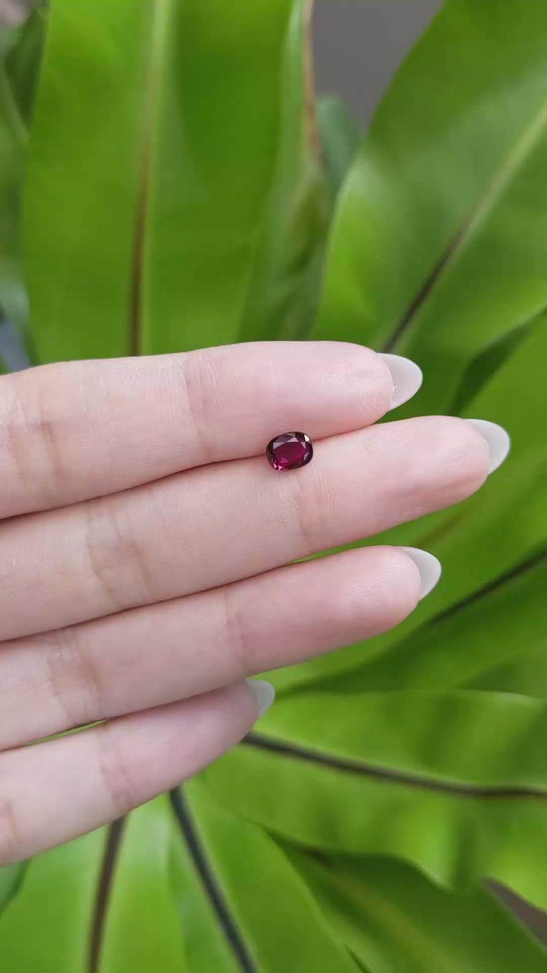 0.71 Ct. Ruby from Thailand Size Video