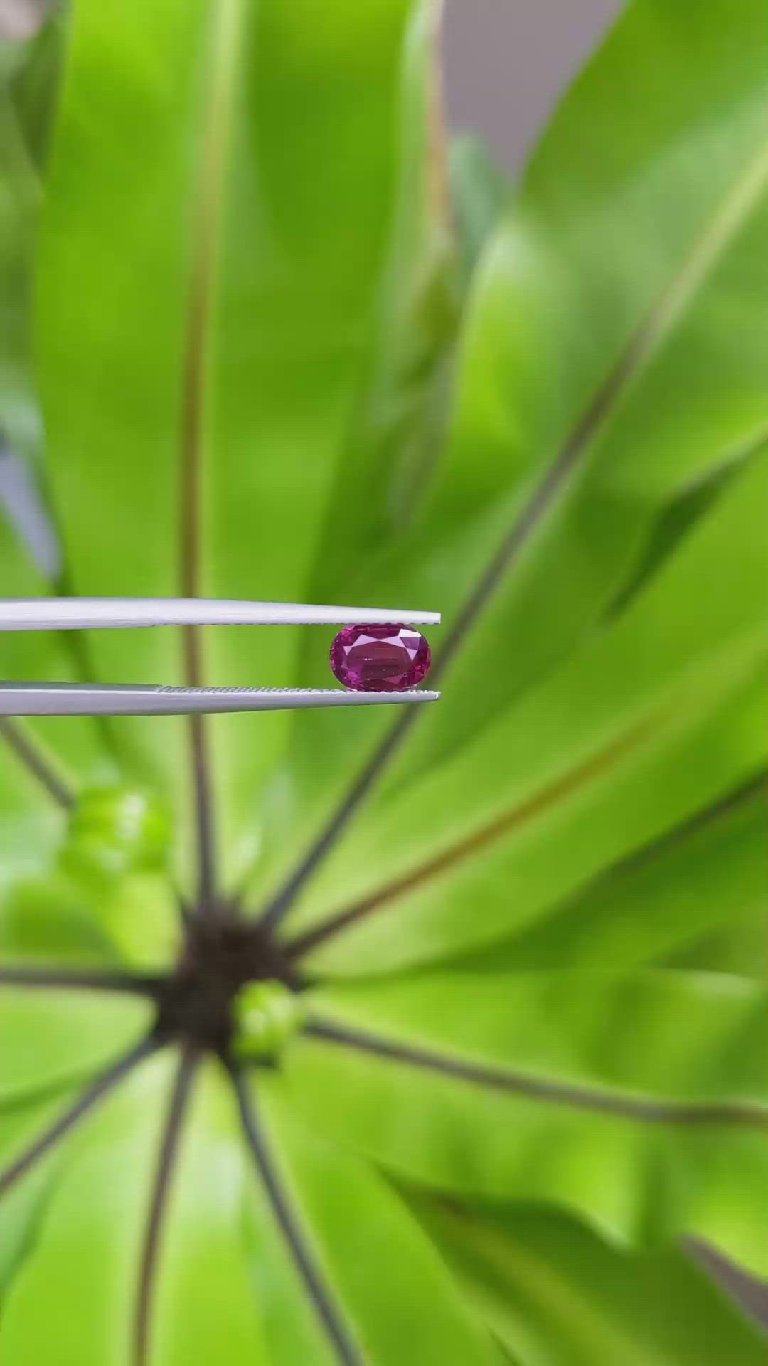 0.93 Ct. Ruby from Thailand Size Video