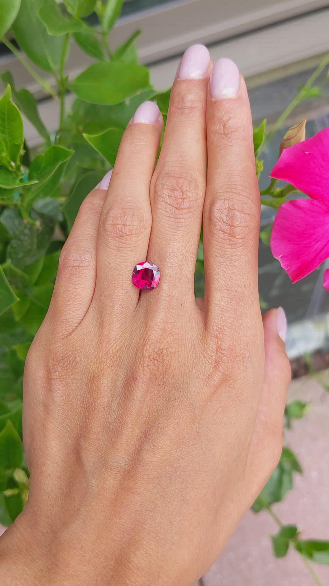 2.27 Ct. Ruby from Mozambique Size Video