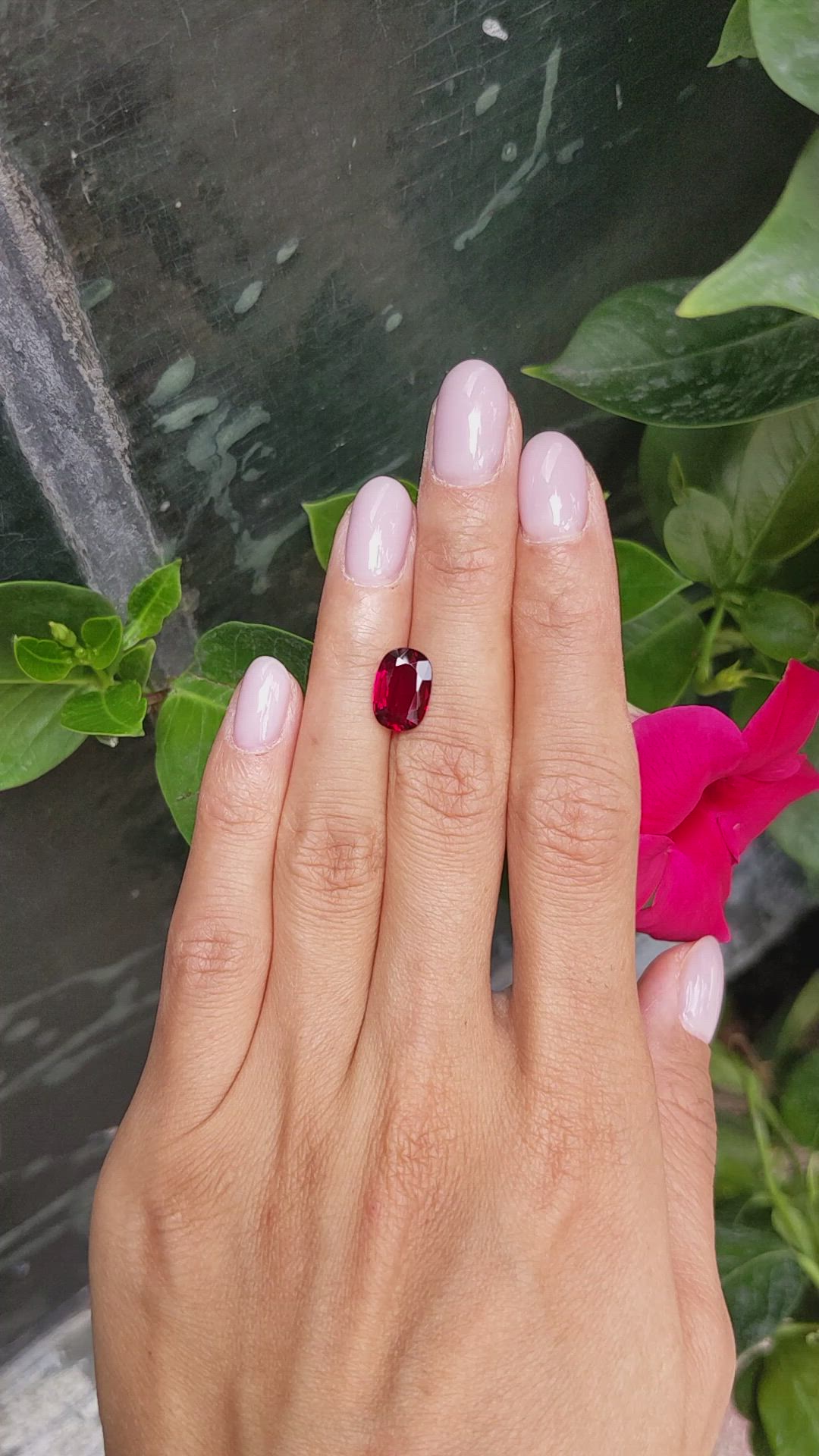 2.93 Ct. Ruby from Mozambique Size Video