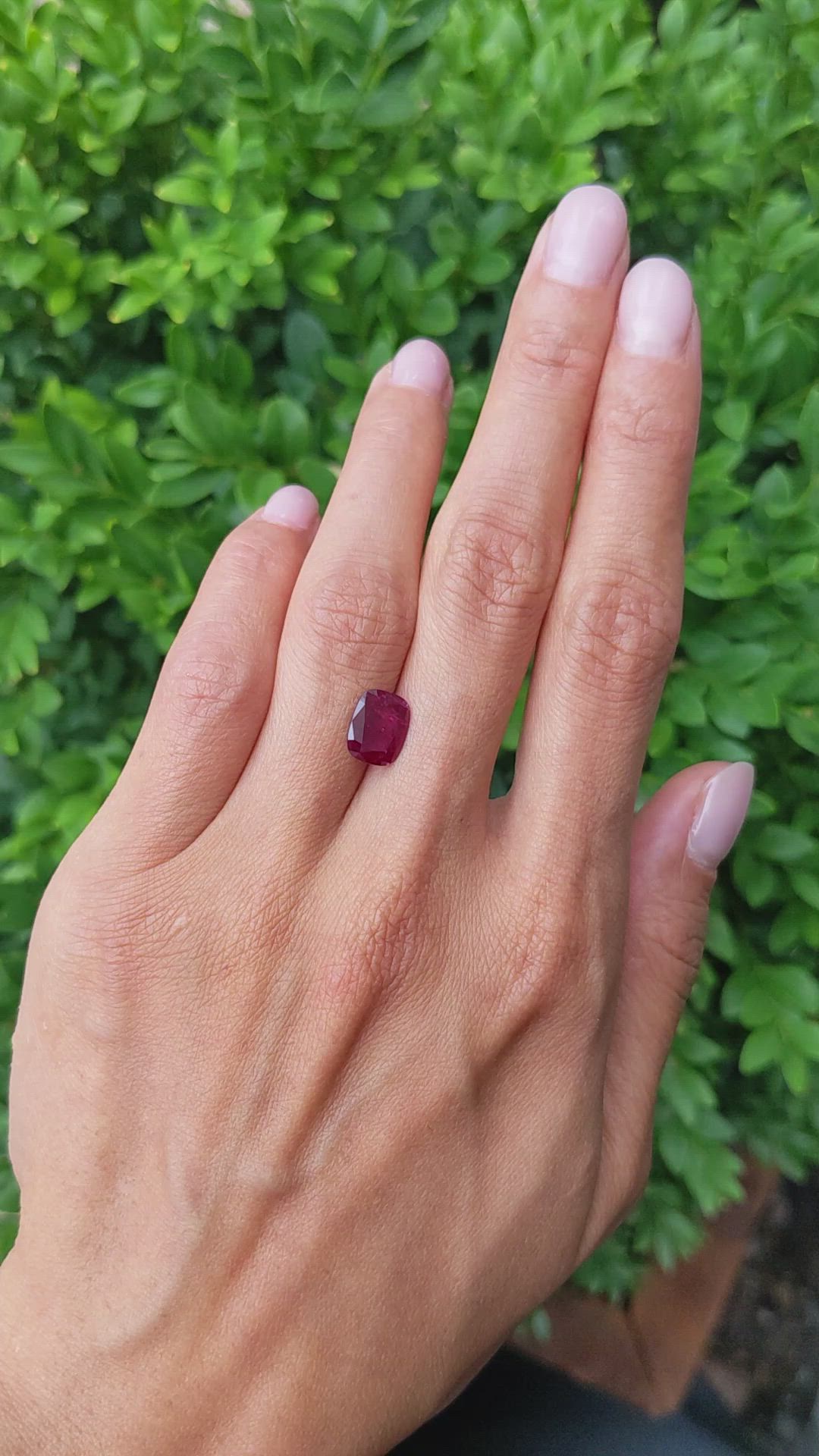 1.87 Ct. Ruby from Mozambique Size Video