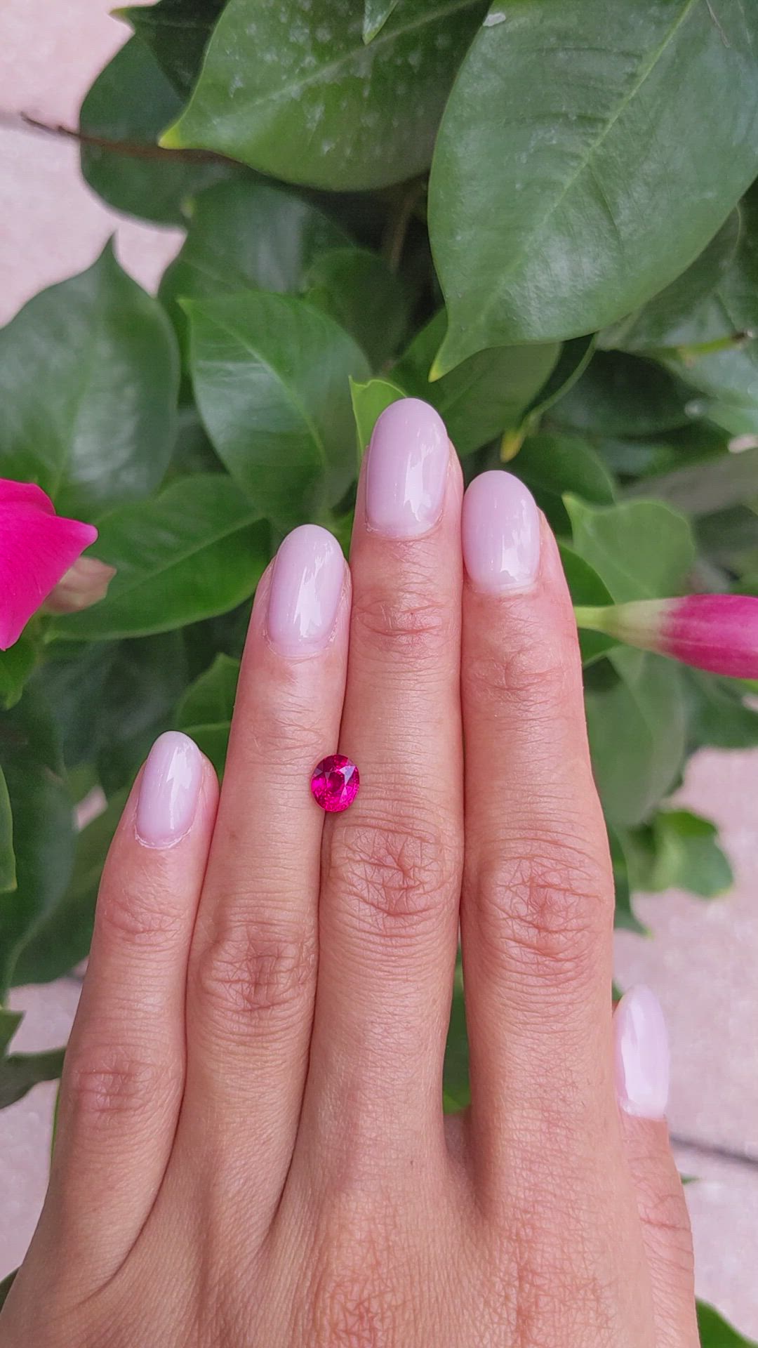 1.19 Ct. Ruby from Mozambique Size Video