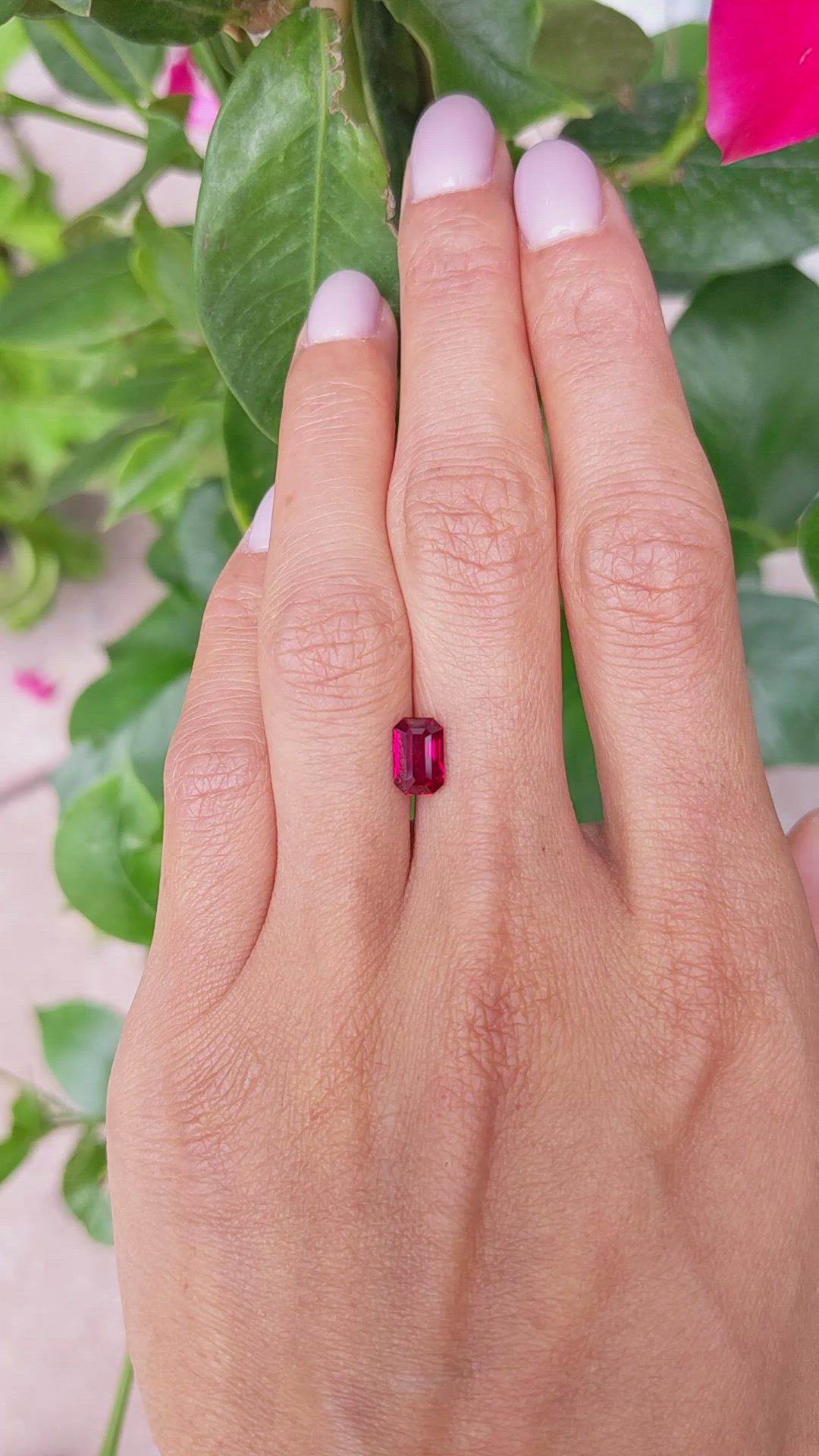1.52 Ct. Ruby from Mozambique Size Video