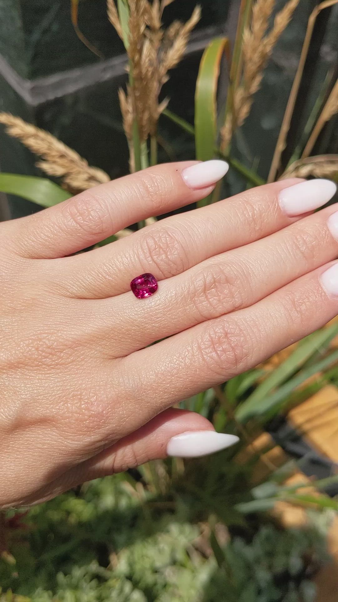 1.48 Ct. Ruby from Mozambique Size Video