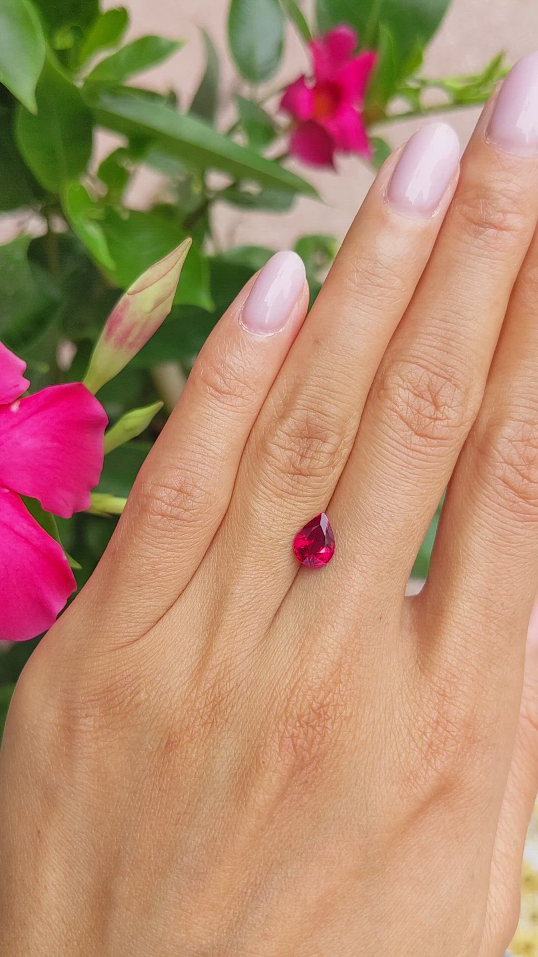 1.57 Ct. Ruby from Mozambique Size Video
