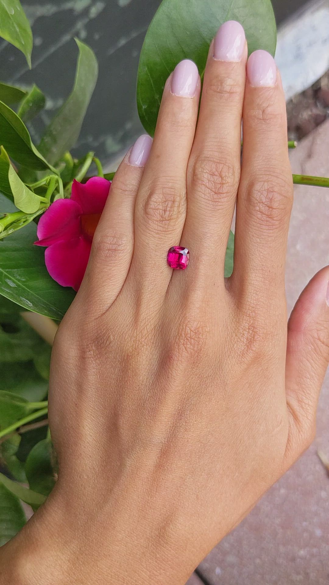 1.74 Ct. Ruby from Mozambique Size Video