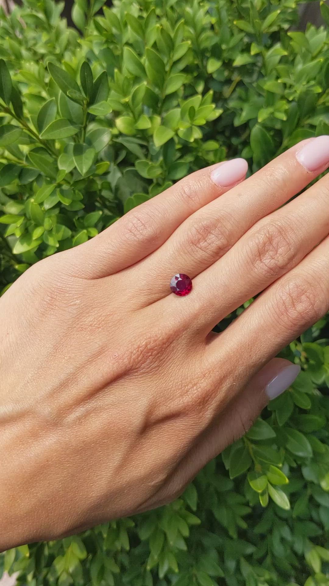 1.48 Ct. Ruby from Mozambique Size Video