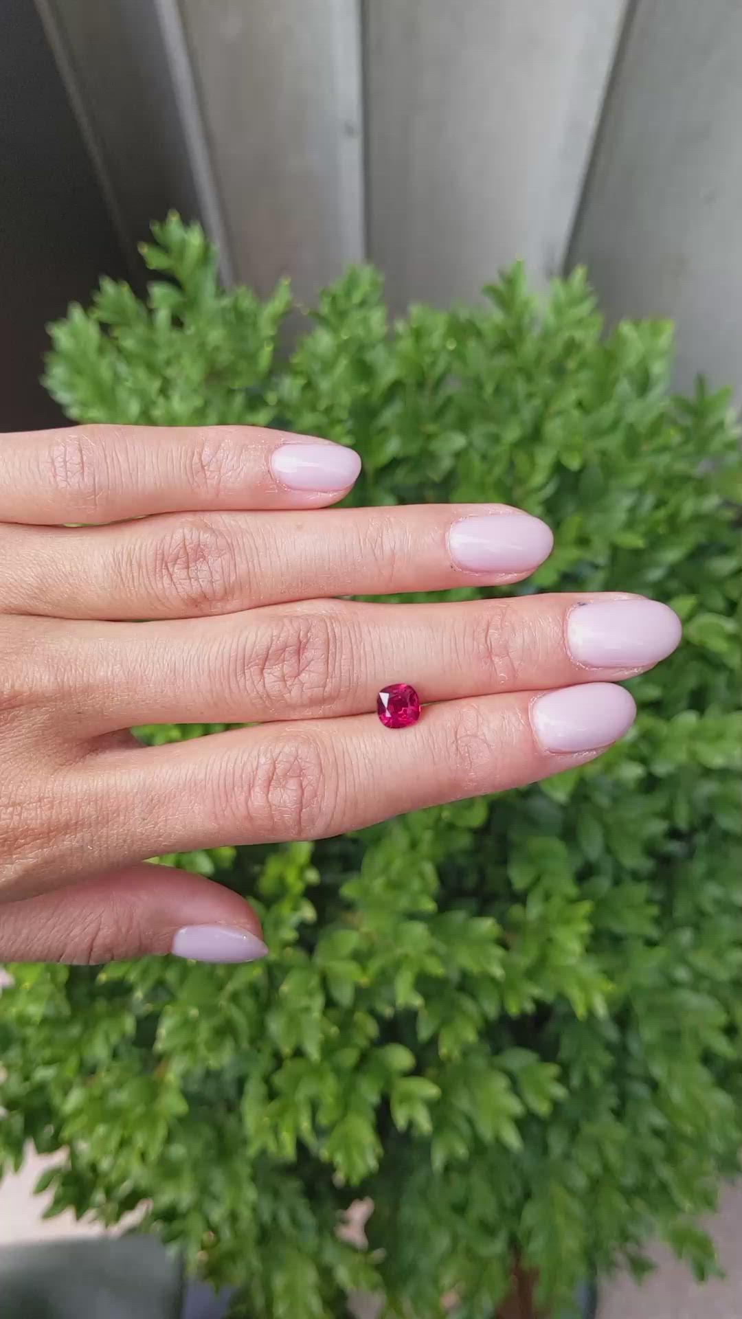 1.23 Ct. Ruby from Mozambique Size Video
