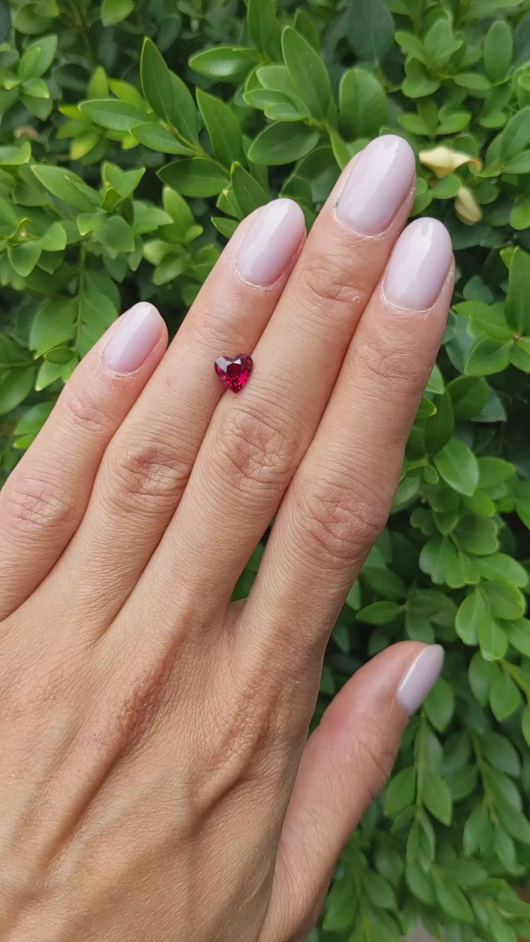 1.22 Ct. Ruby from Mozambique Size Video