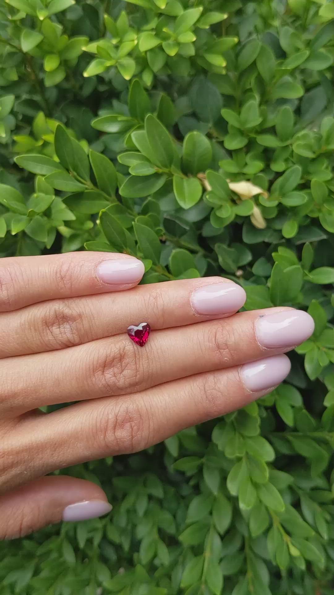 1.22 Ct. Ruby from Mozambique Size Video