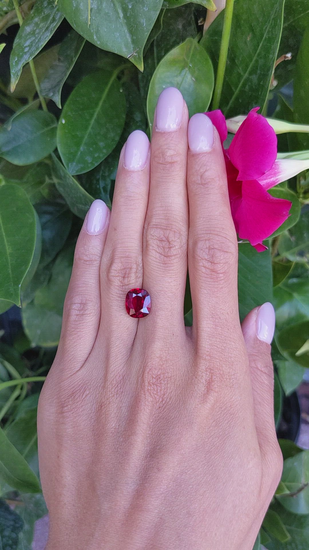 4.60 Ct. Ruby from Mozambique Size Video