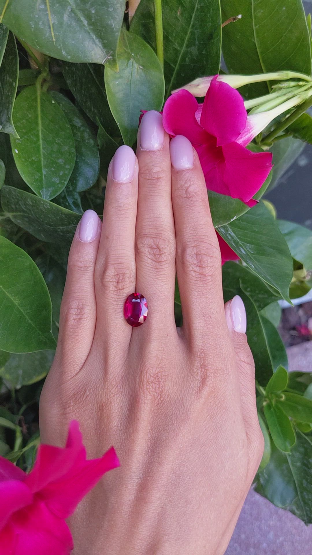 5.05 Ct. Ruby from Mozambique Size Video