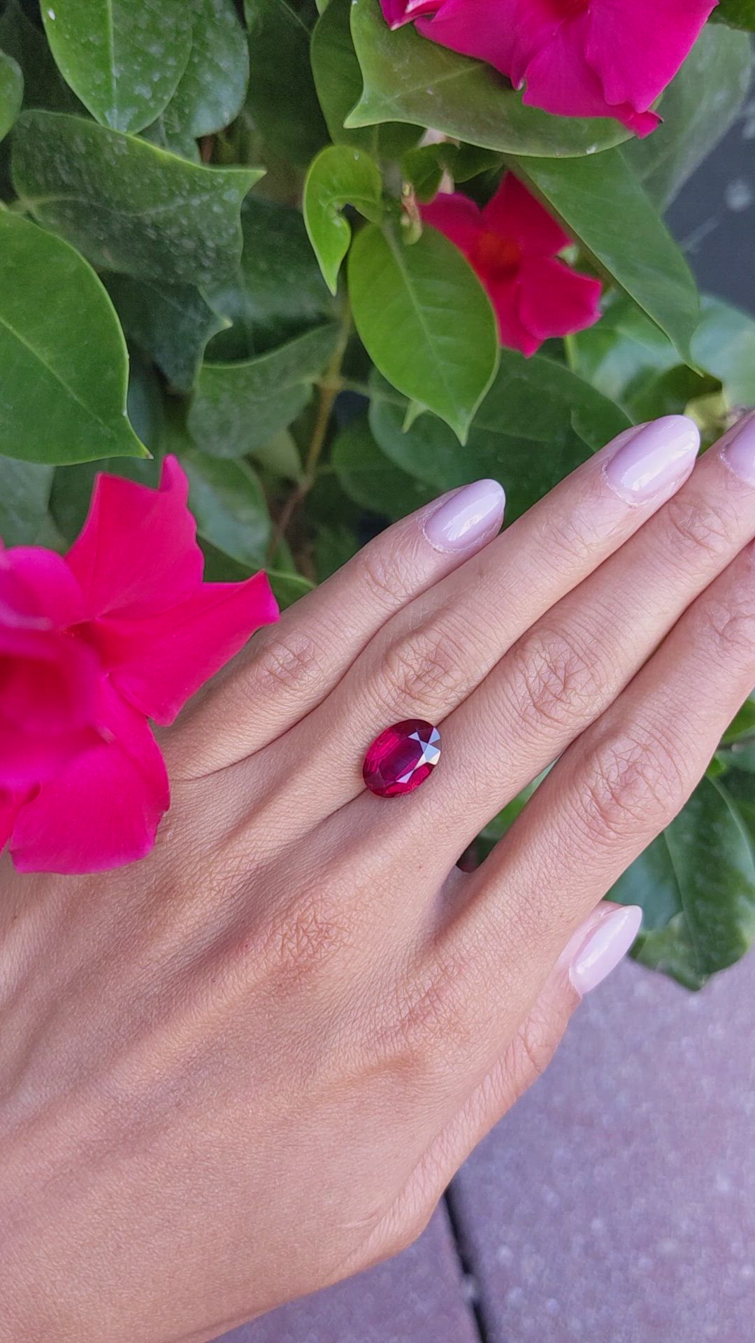 5.05 Ct. Ruby from Mozambique Size Video
