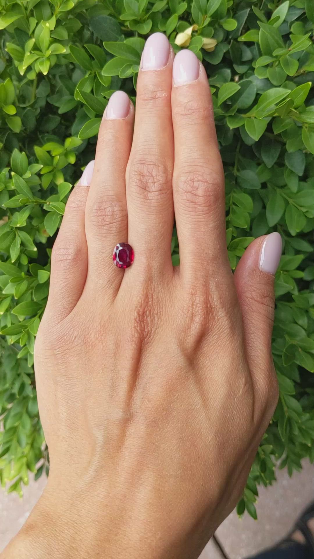 2.03 Ct. Ruby from Mozambique Size Video
