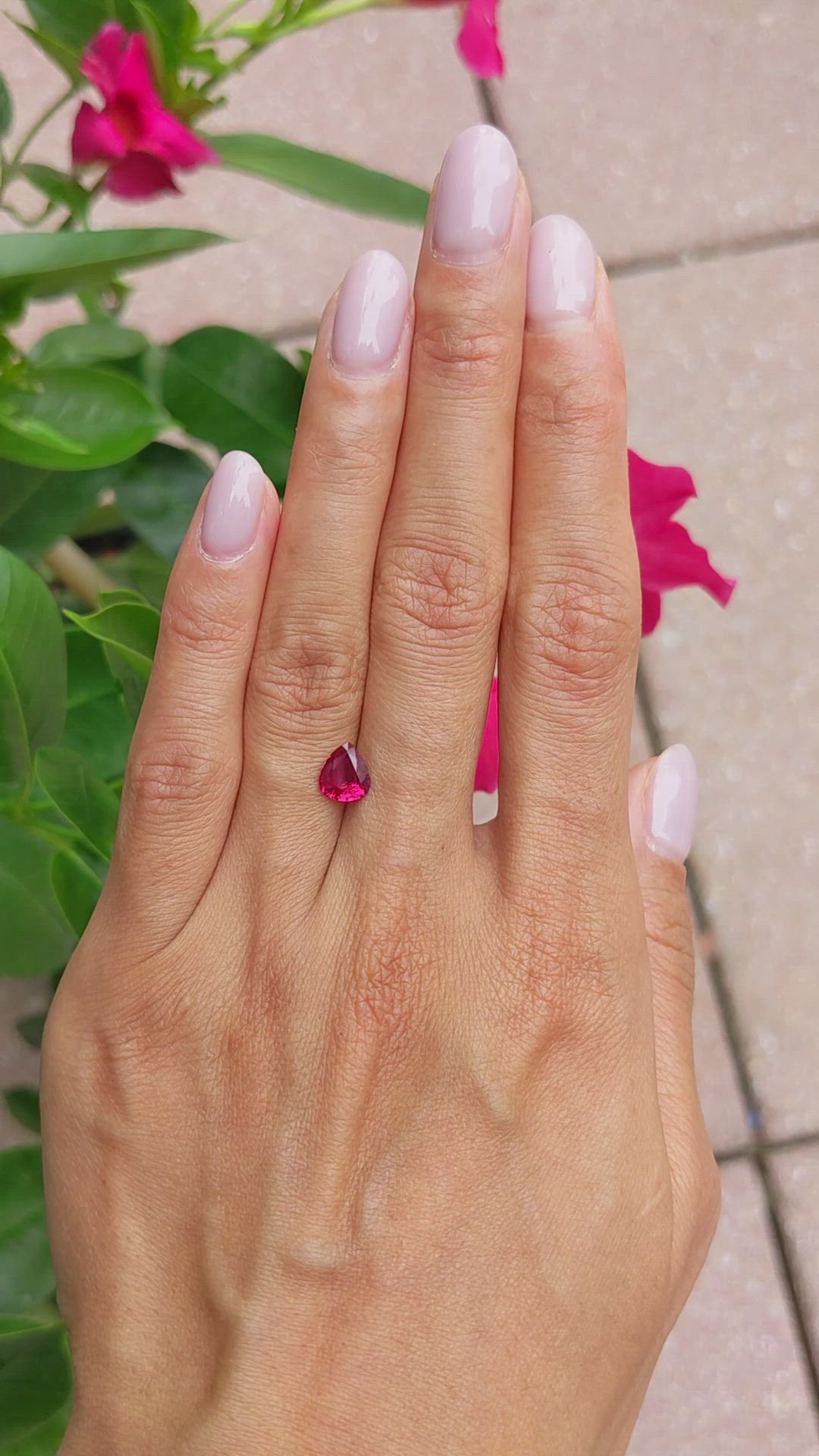 1.03 Ct. Ruby from Mozambique Size Video