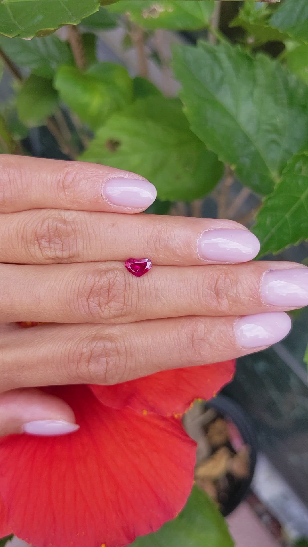0.87 Ct. Ruby from Mozambique Size Video