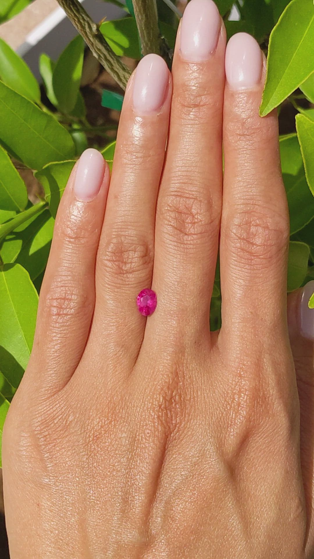 0.87 Ct. Ruby from Burma (Myanmar) Size Video