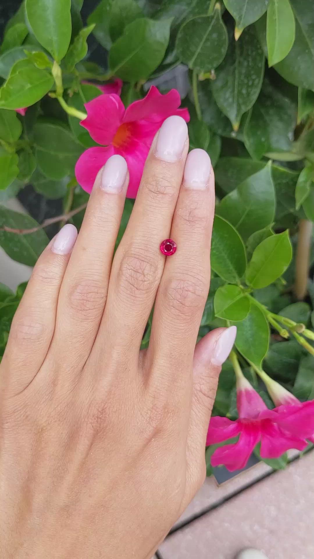 1.05 Ct. Ruby from Mozambique Size Video