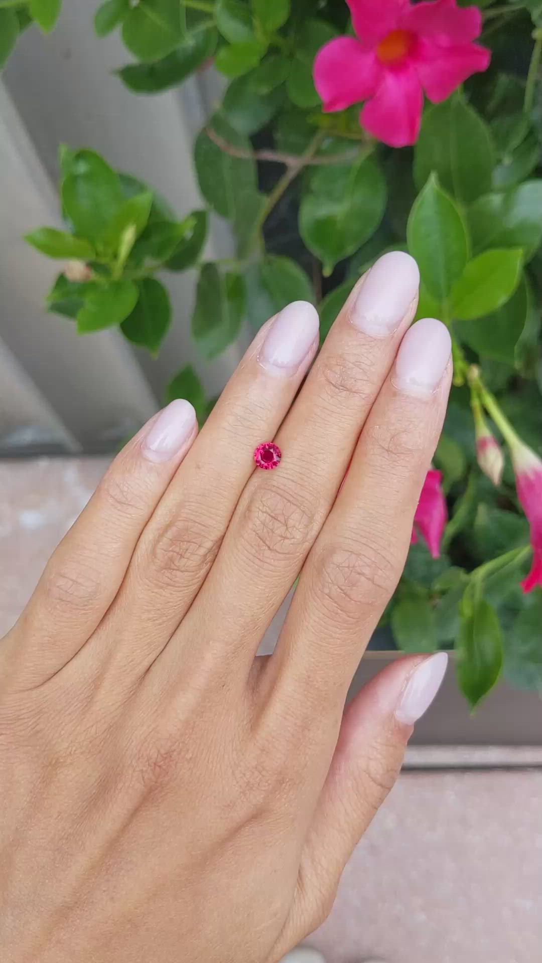 0.53 Ct. Ruby from Mozambique Size Video