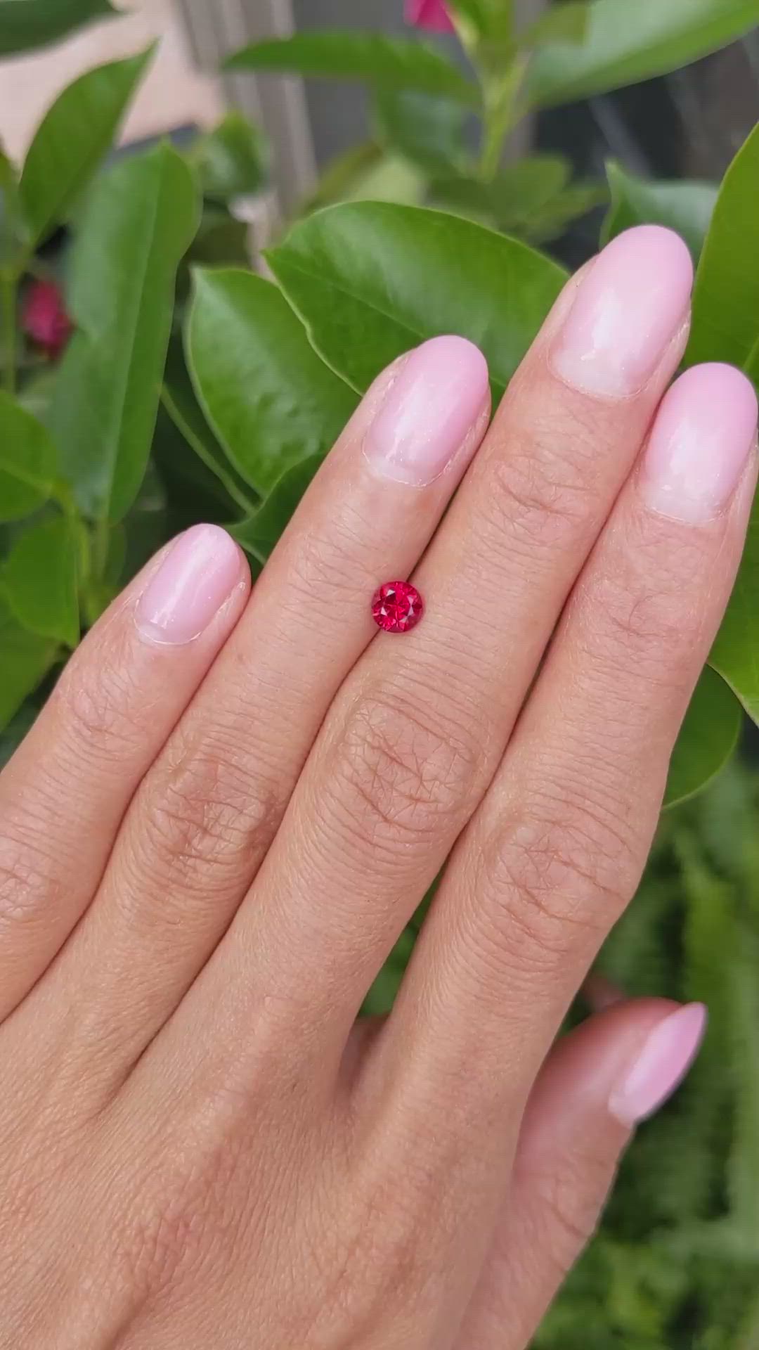0.59 Ct. Ruby from Mozambique Size Video