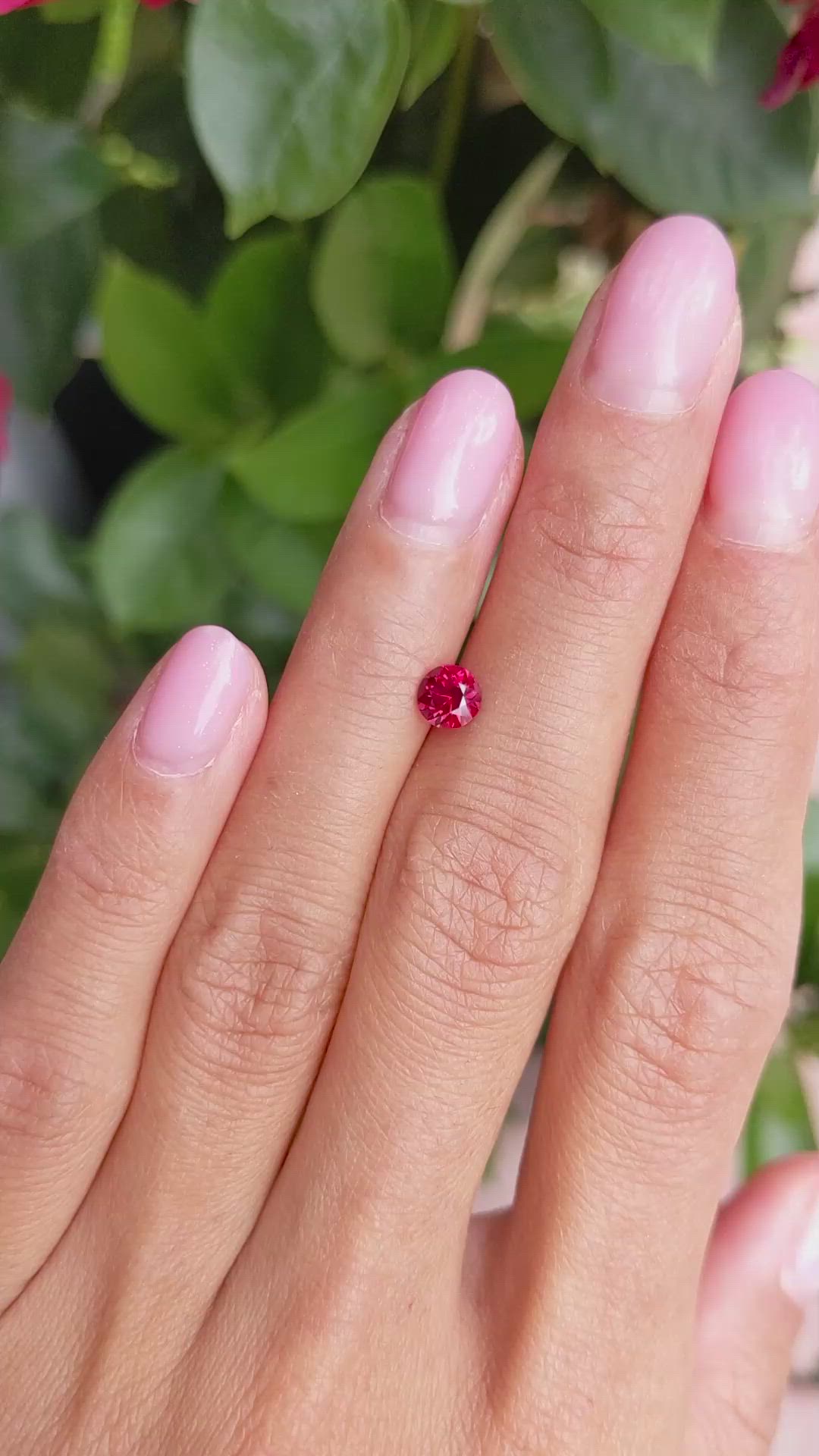 0.67 Ct. Ruby from Mozambique Size Video