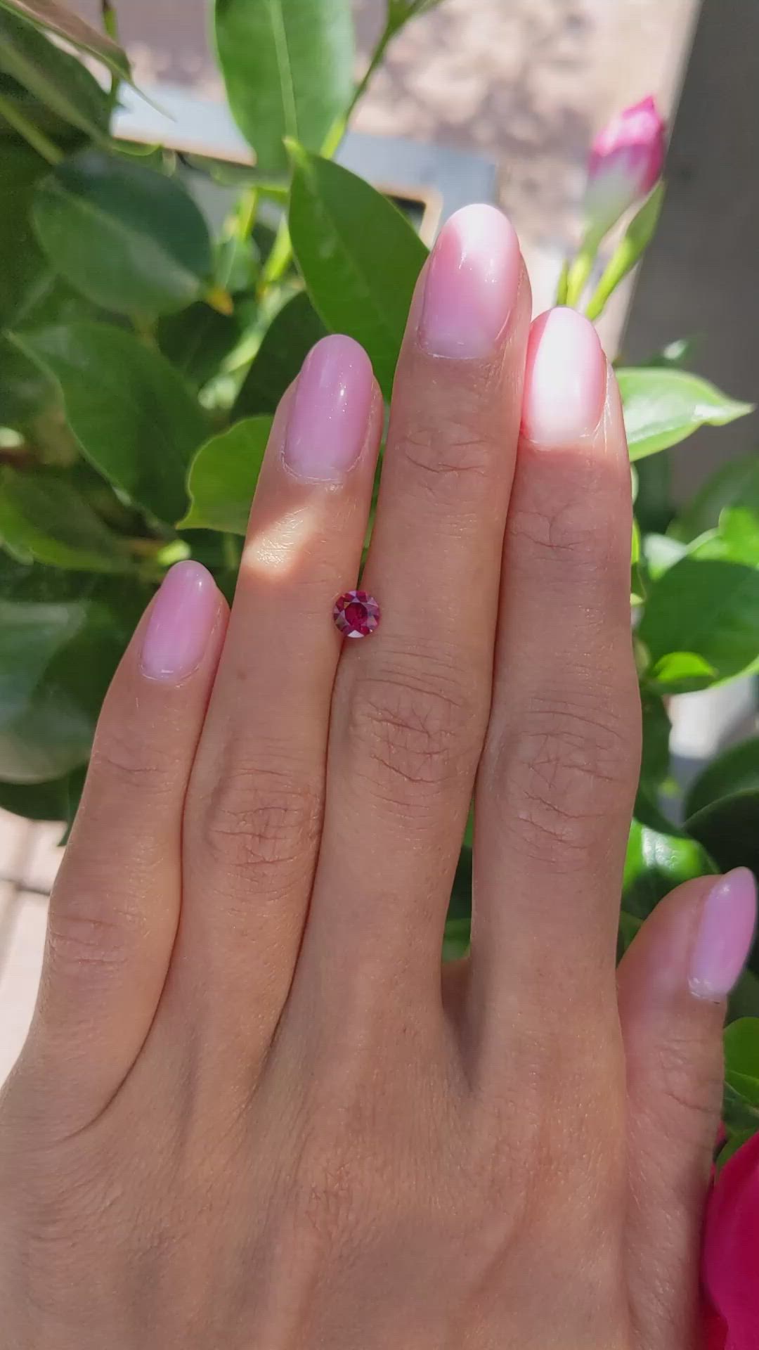 0.48 Ct. Ruby from Mozambique Size Video