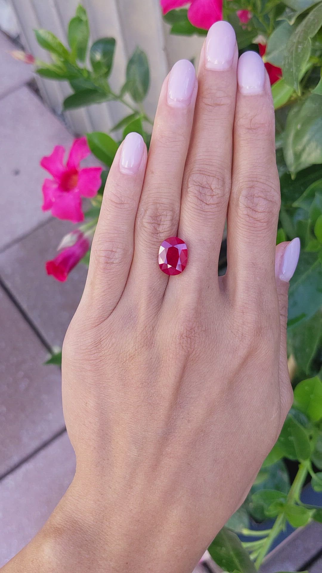 7.02 Ct. Ruby from Mozambique Size Video