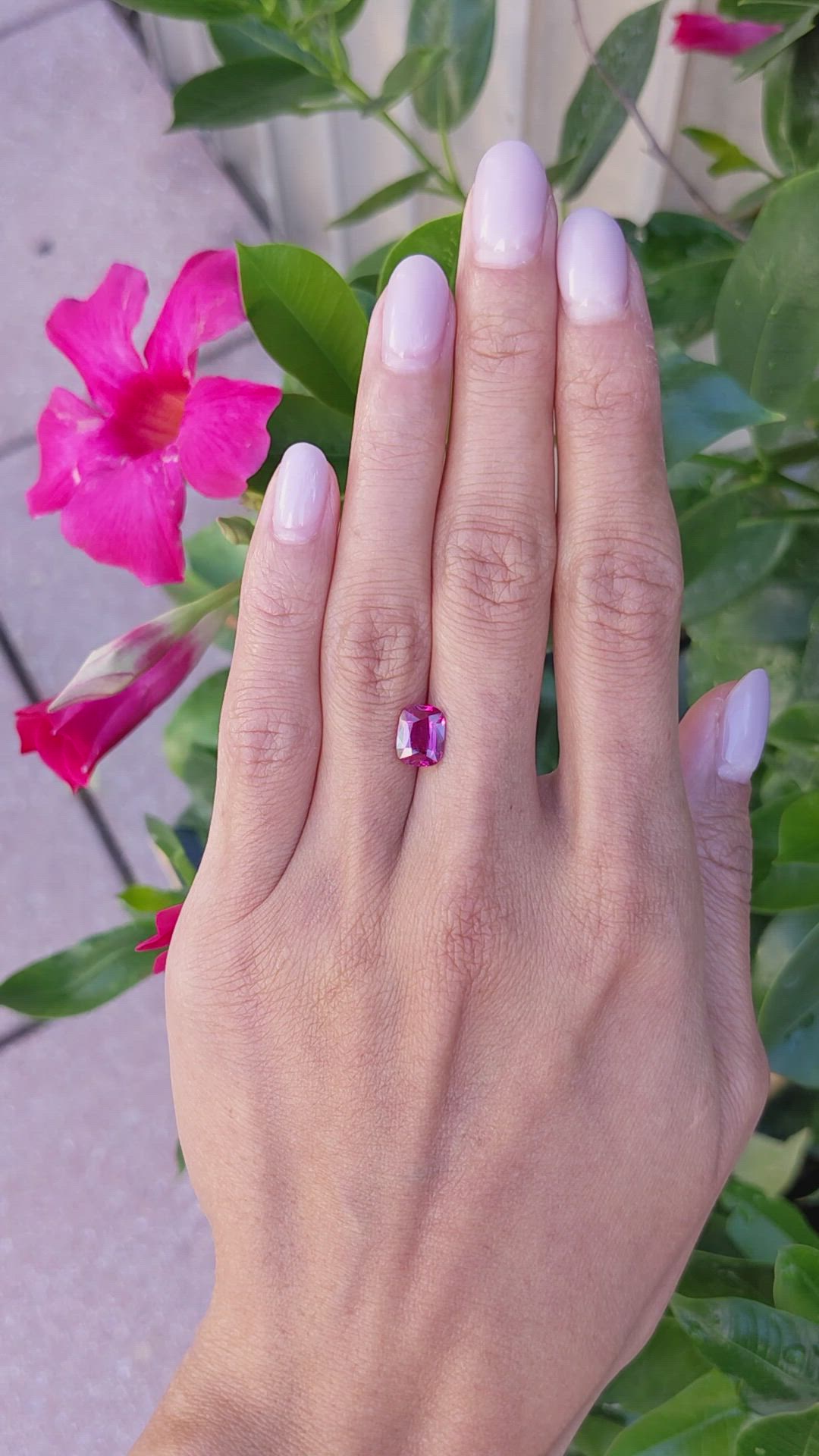 2.05 Ct. Ruby from Ceylon (Sri Lanka) Size Video