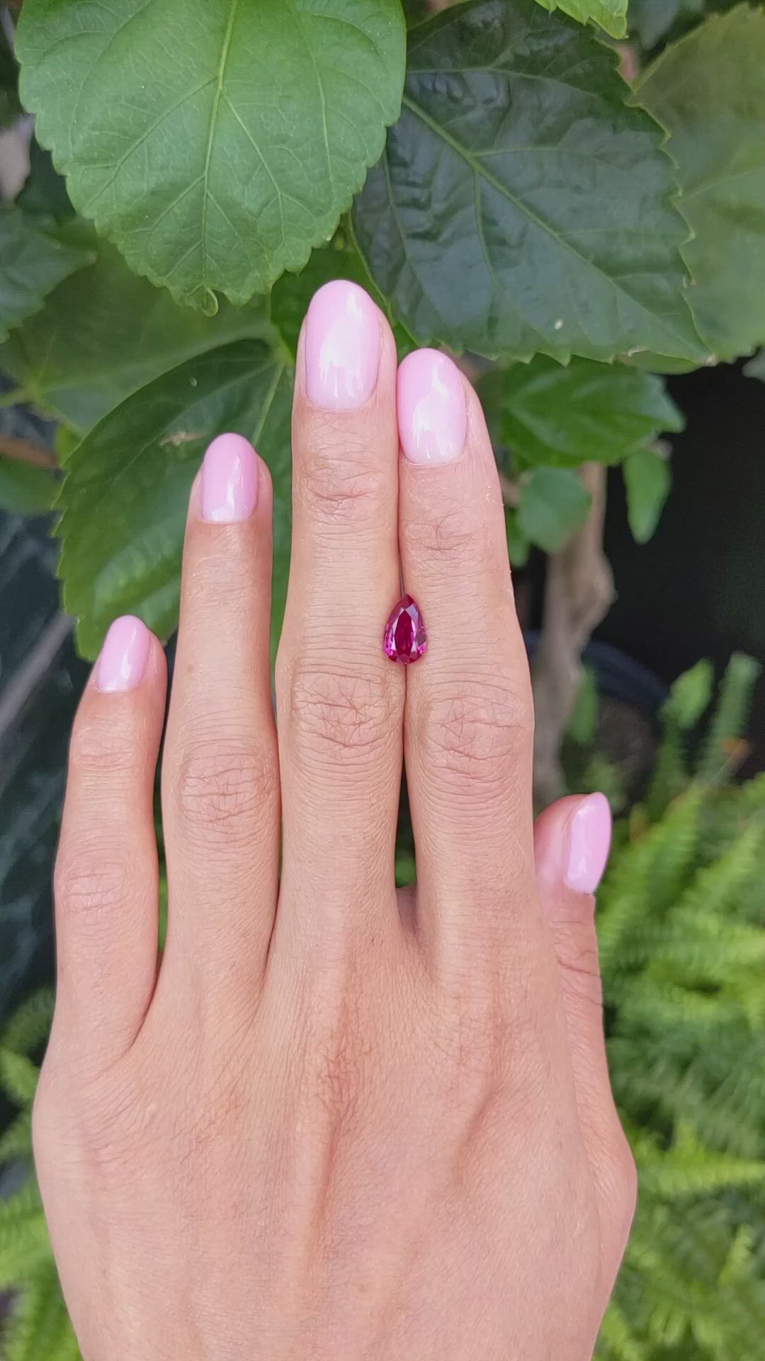 1.53 Ct. Ruby from Ceylon (Sri Lanka) Size Video
