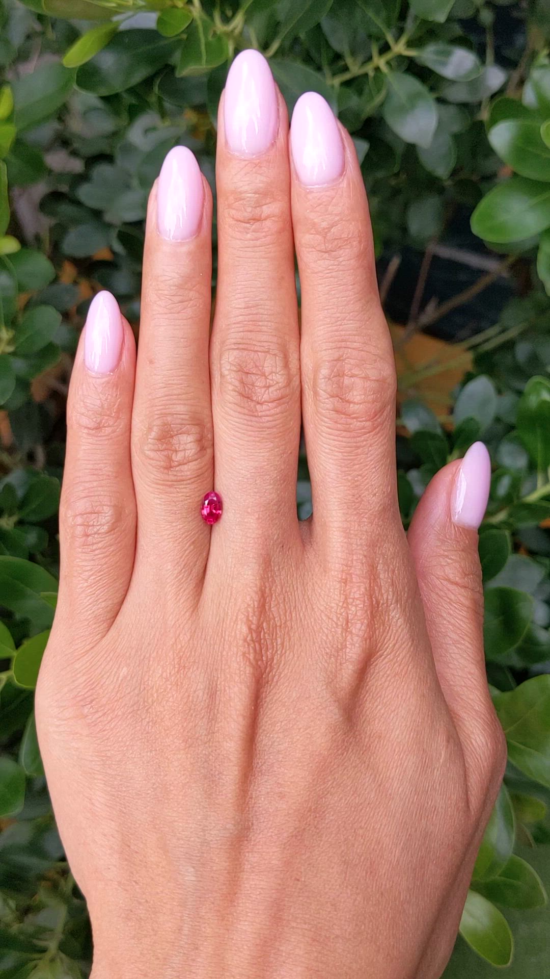0.55 Ct. Pinkish Red Ruby from Burma (Myanmar) Size Video
