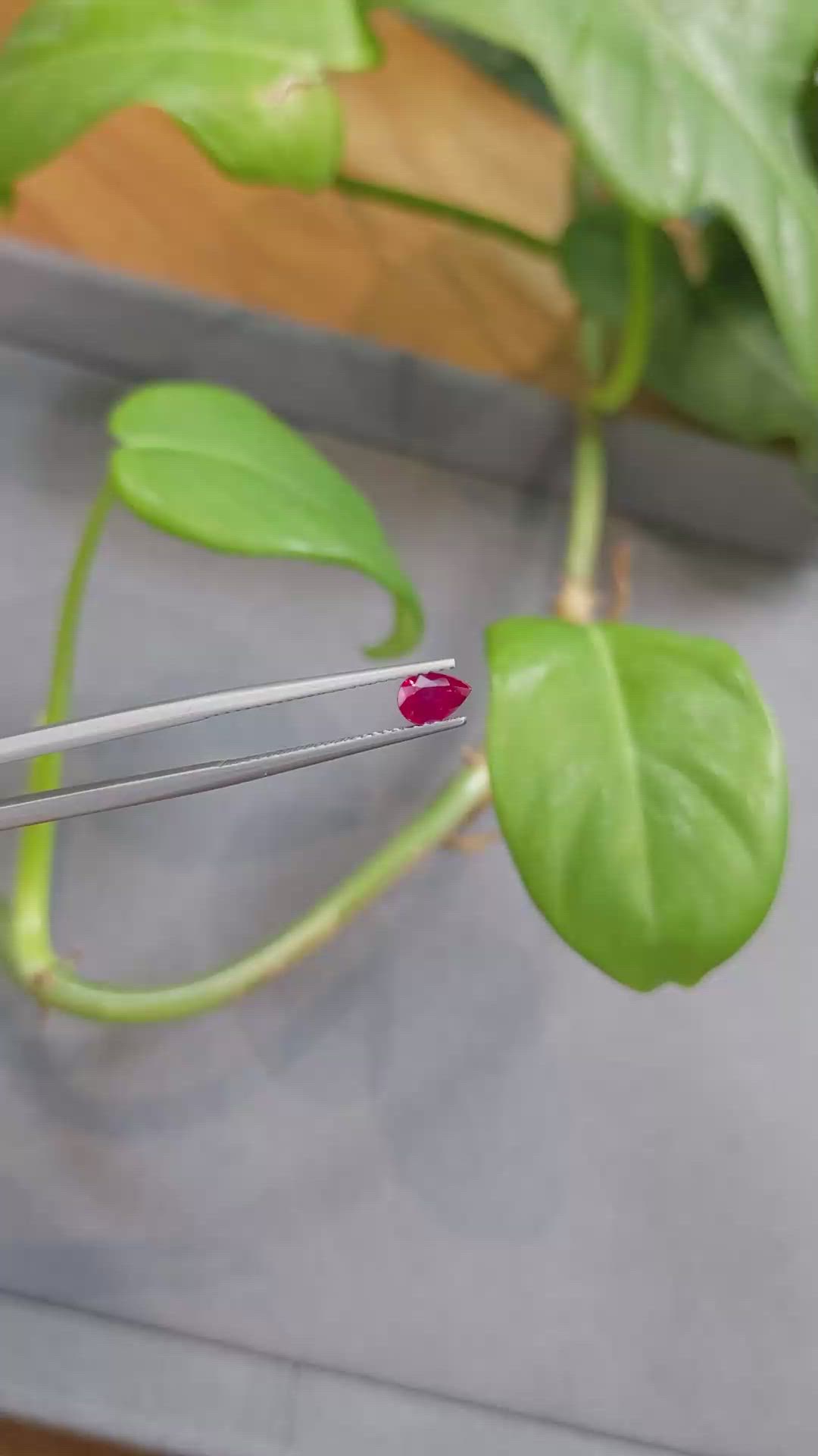0.63 Ct. Ruby from Burma (Myanmar) Size Video