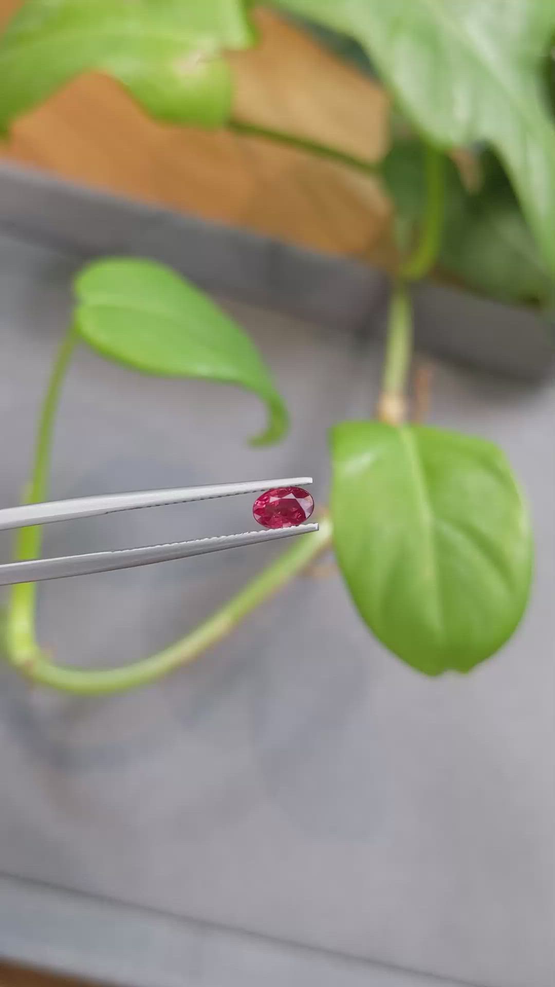 0.67 Ct. Ruby from Burma (Myanmar) Size Video