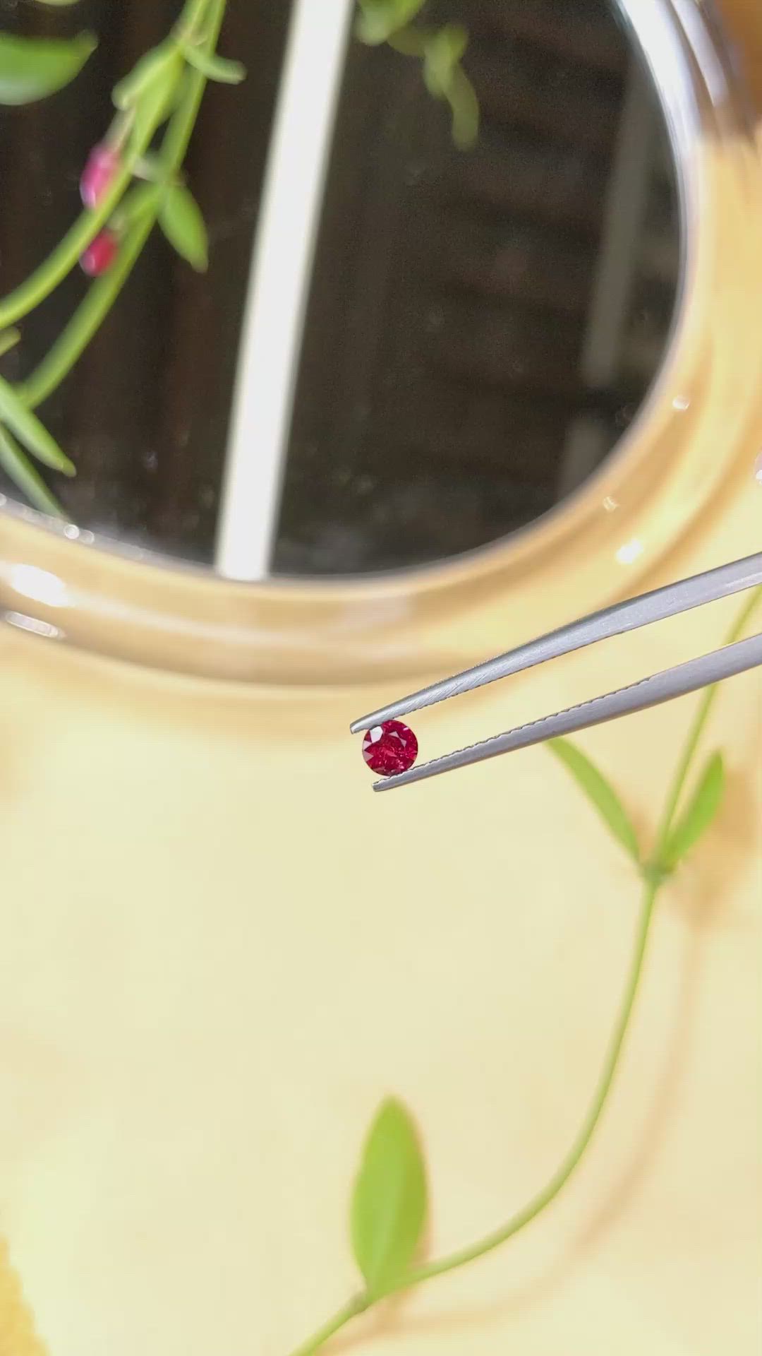 0.25 Ct. Ruby from Mozambique Size Video