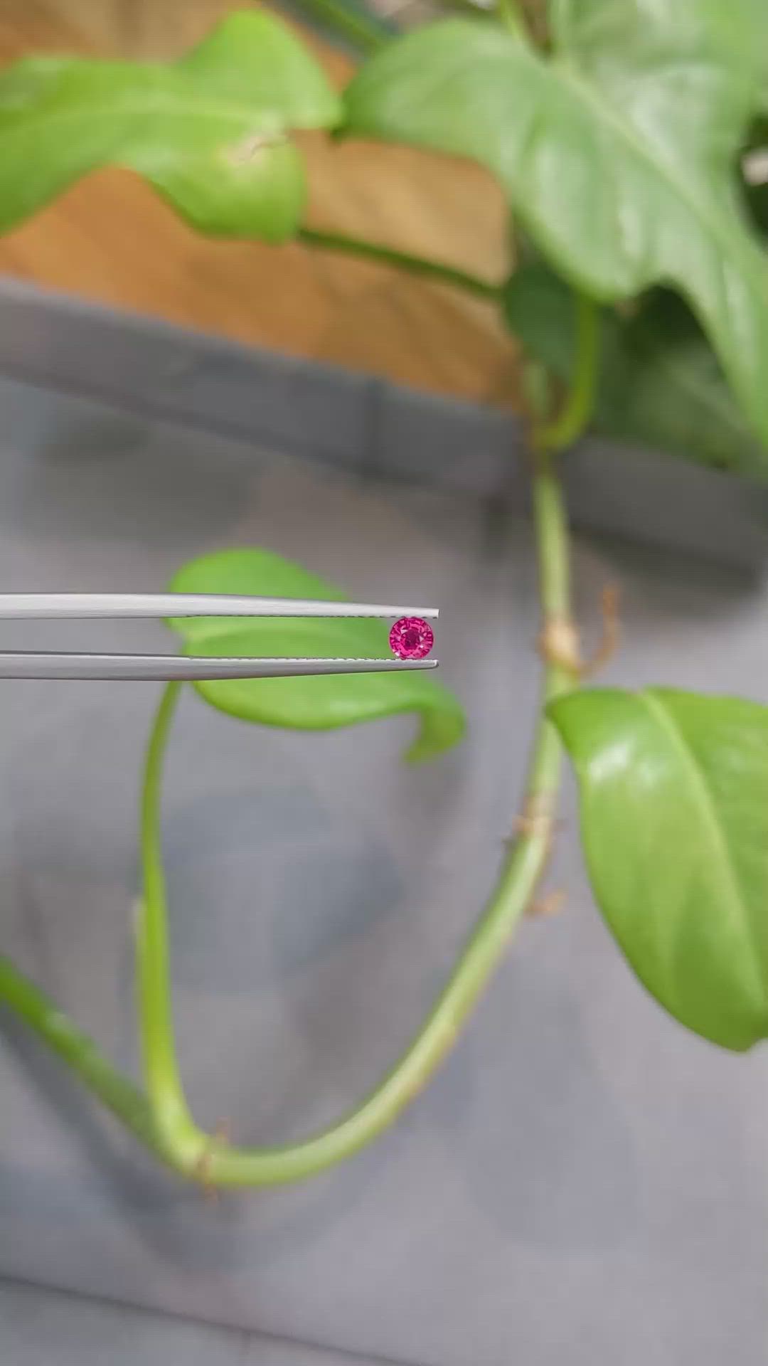 0.25 Ct. Ruby from Thailand Size Video